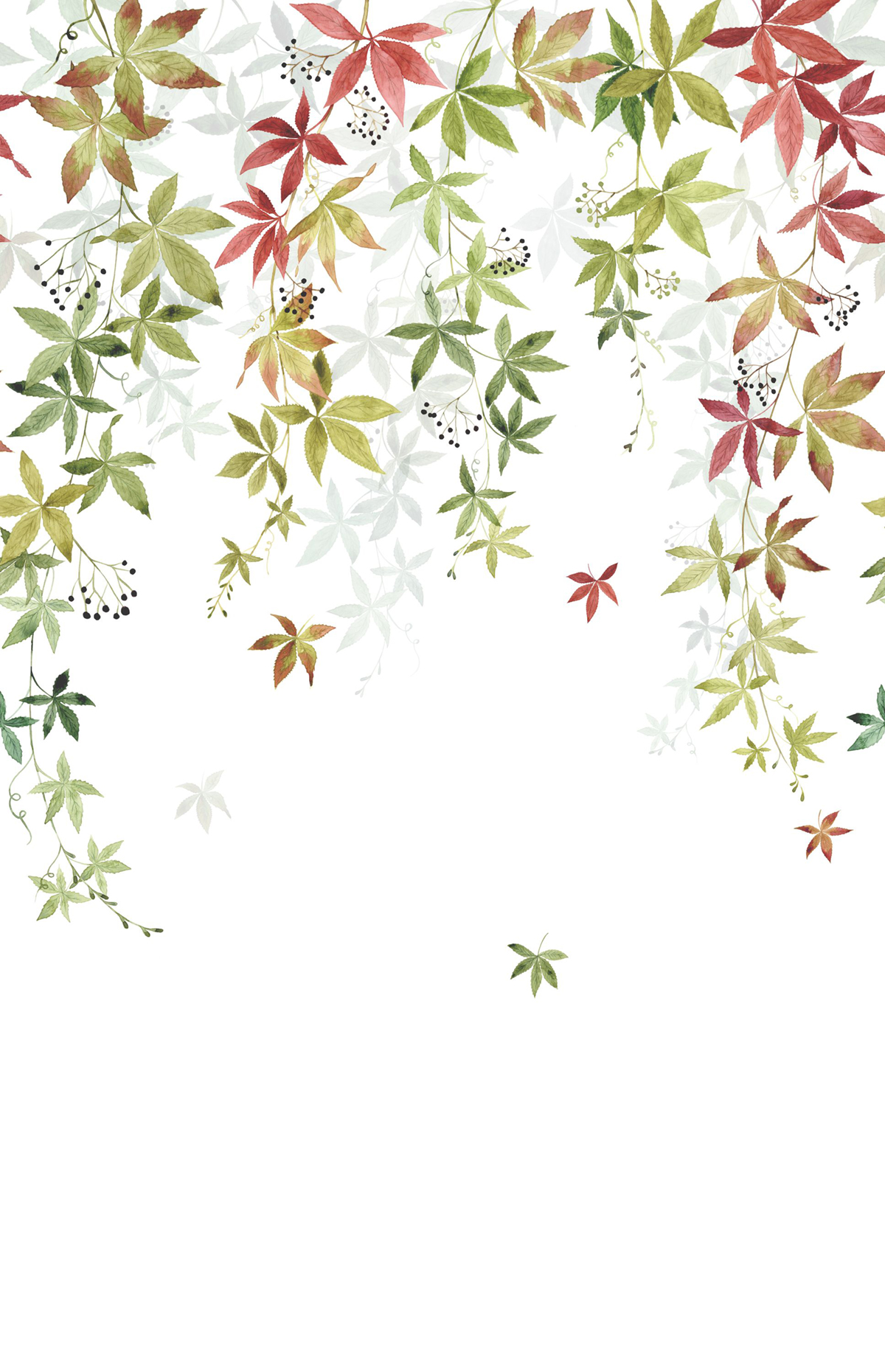 Papier peint panoramique Feuille Vigne en Fleur L automne 200X310 - Wonderwalls 2 de Casadéco | Réf. WDWD200067904