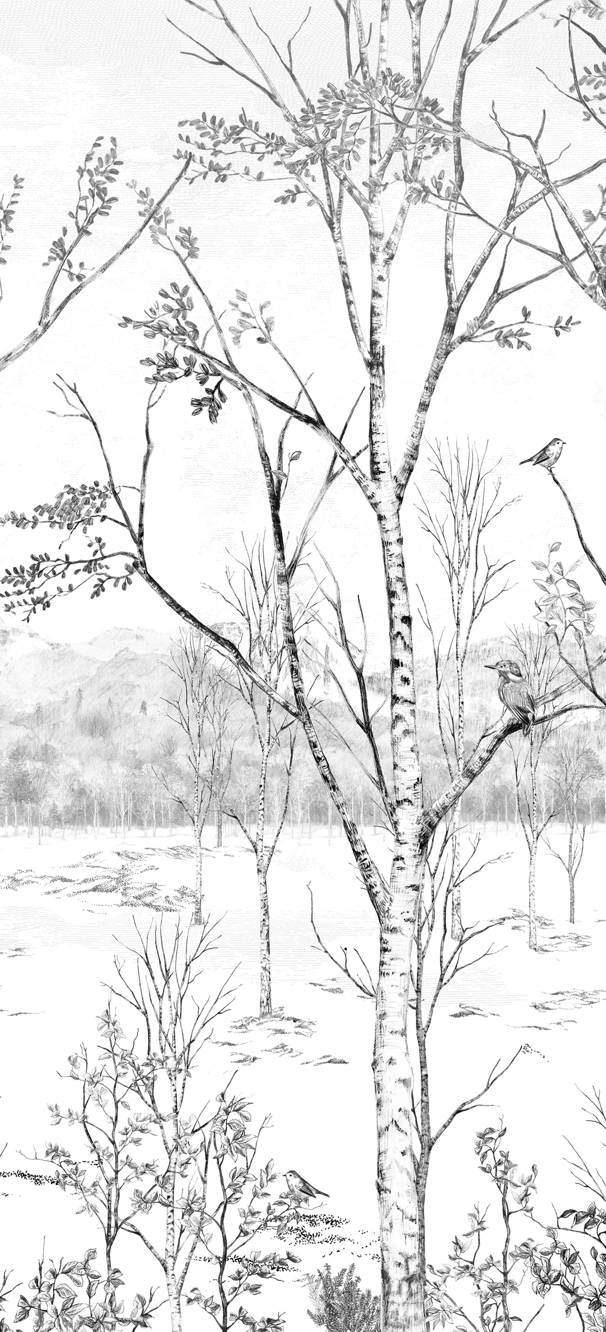 Papier peint panoramique Forêt Nunavut Grisaille B - 4/5/6 - Isidore Leroy