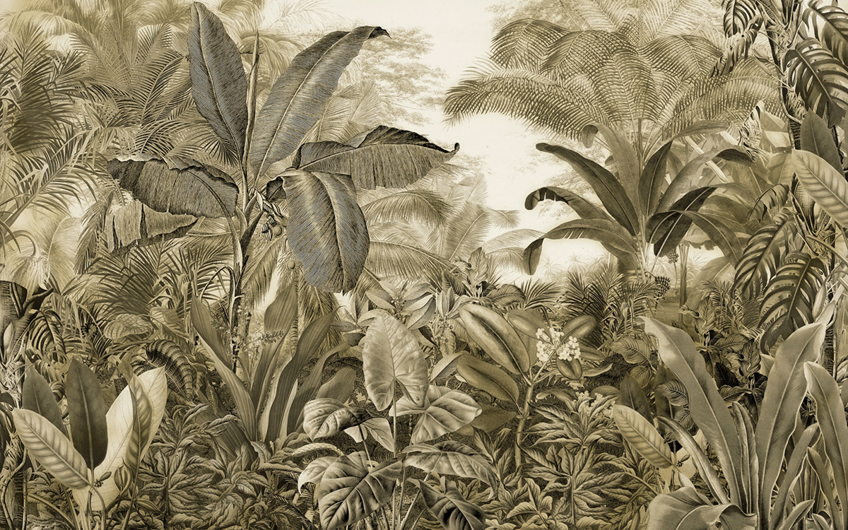 Papier peint panoramique Forêt Tropicale Adventure Awaits vert - Papier Peint Komar Infinity 2