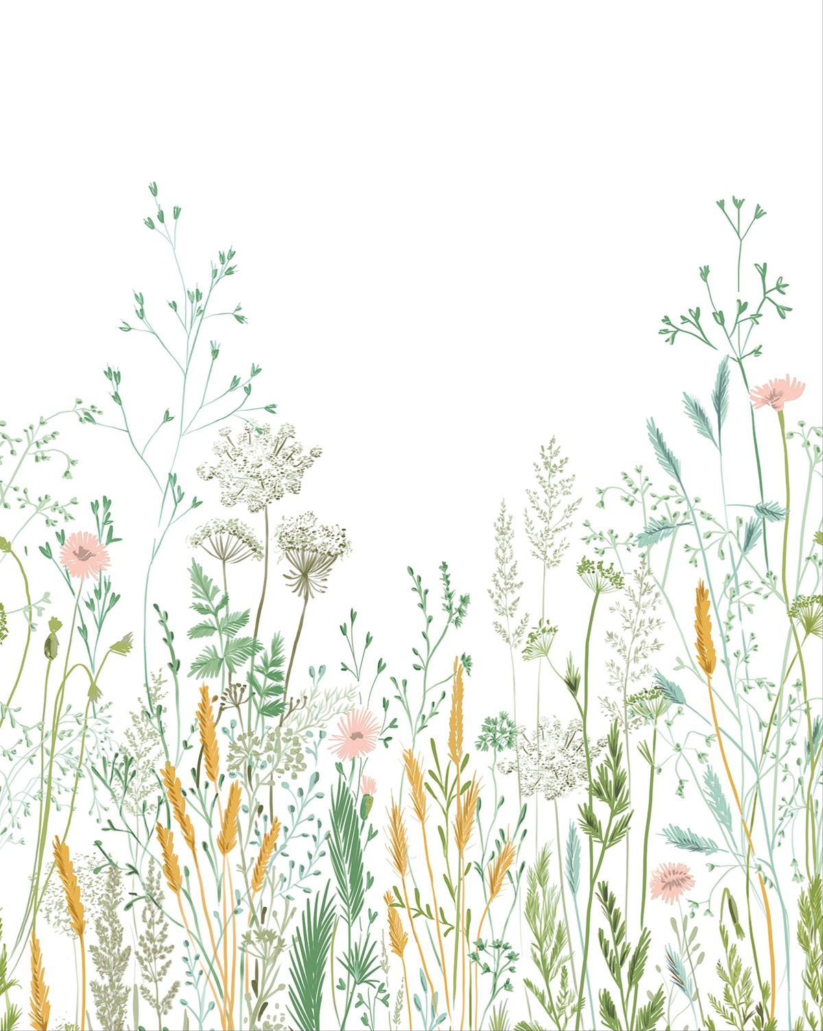 Papier peint panoramique Nature Champêtre Herbarium multicouleurs S 200X250 - Green Life 2 de Casélio | Réf. GNL2105390405