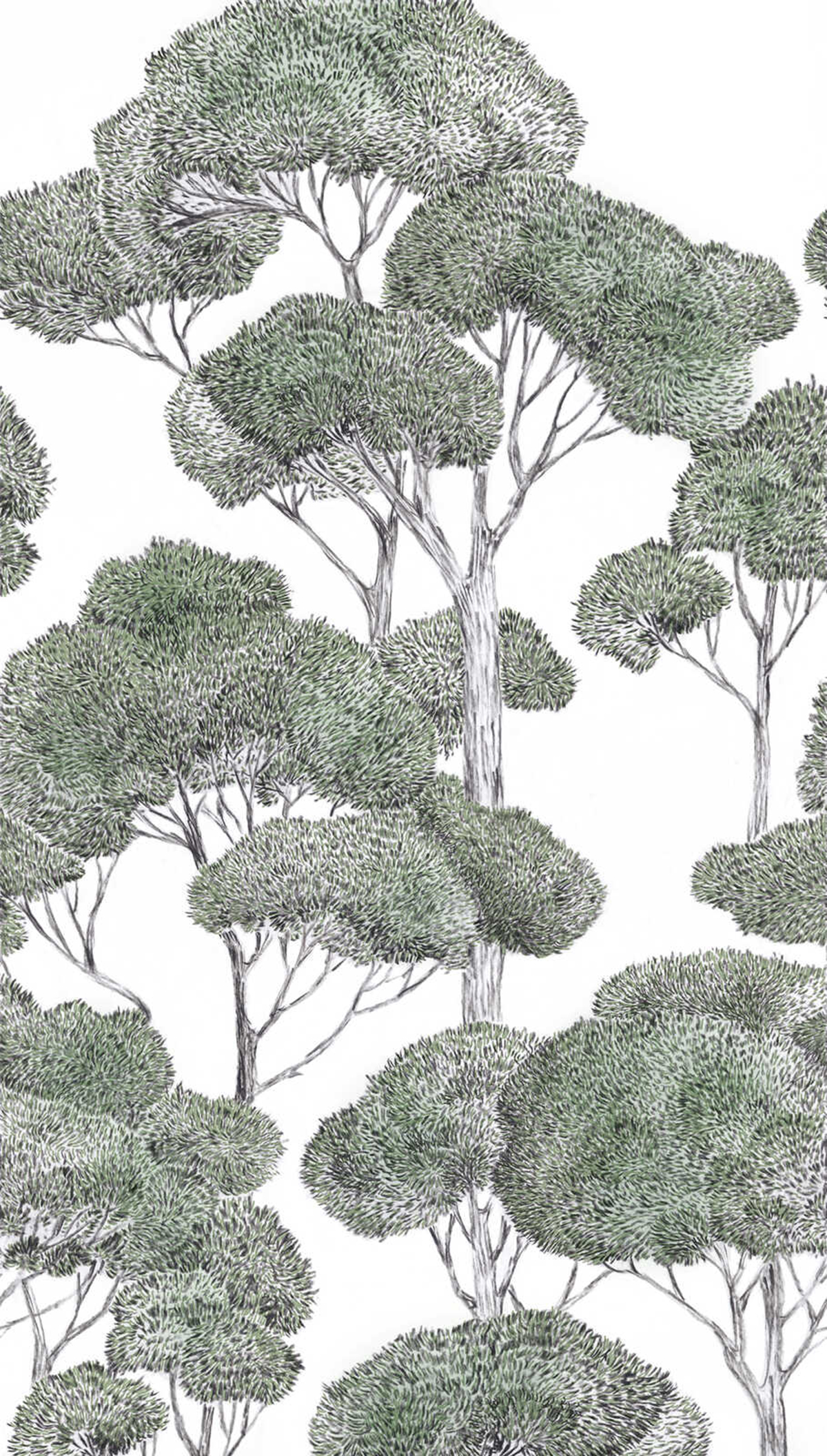 Papier peint panoramique Forêt Dessinée vert - Vibes & Styles d'A.S. Création | Réf. AS-792166