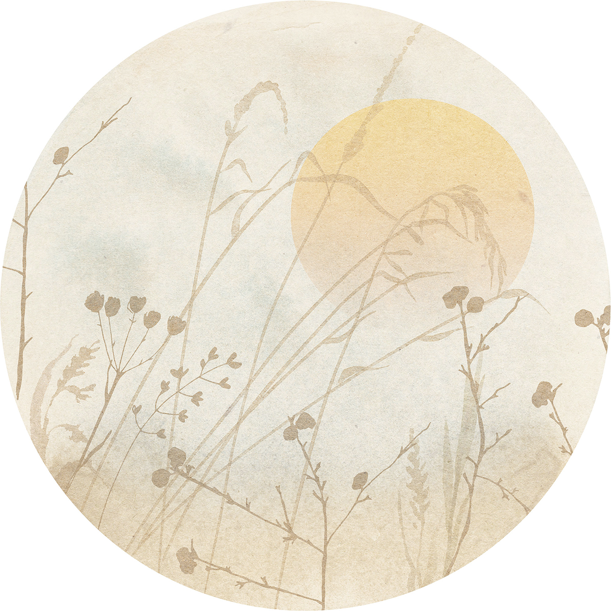 Papier peint adhésif rond Roseau Ensoleillé - Papier peint Komar Le Jardin