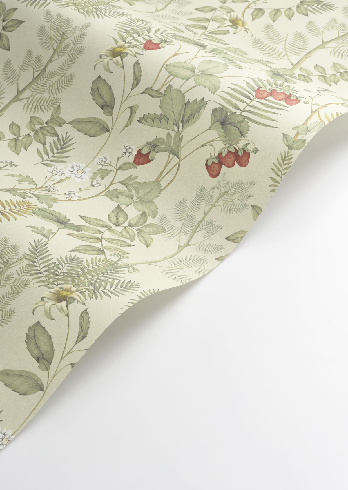 Papier peint Fraisier Strawberry Field vert amande - Heritage de Casadéco AMBV | Réf. HETA201217362