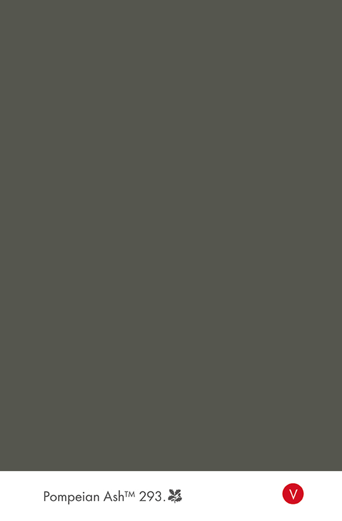 Peinture Little Greene Pompeian Ash n°293