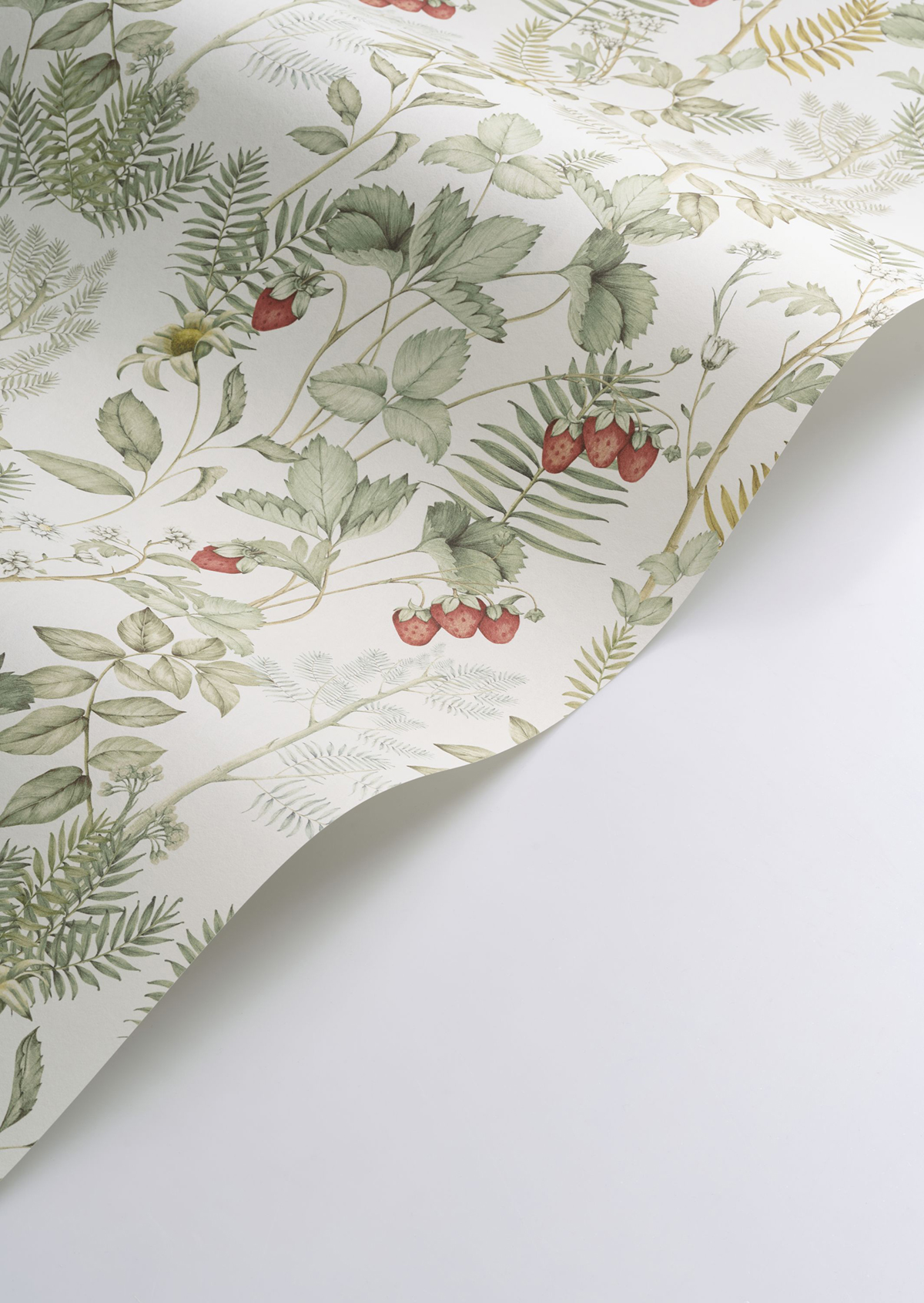 Papier peint Fraisier Strawberry Field écru - Heritage de Casadéco AMBV | Réf. HETA201217155