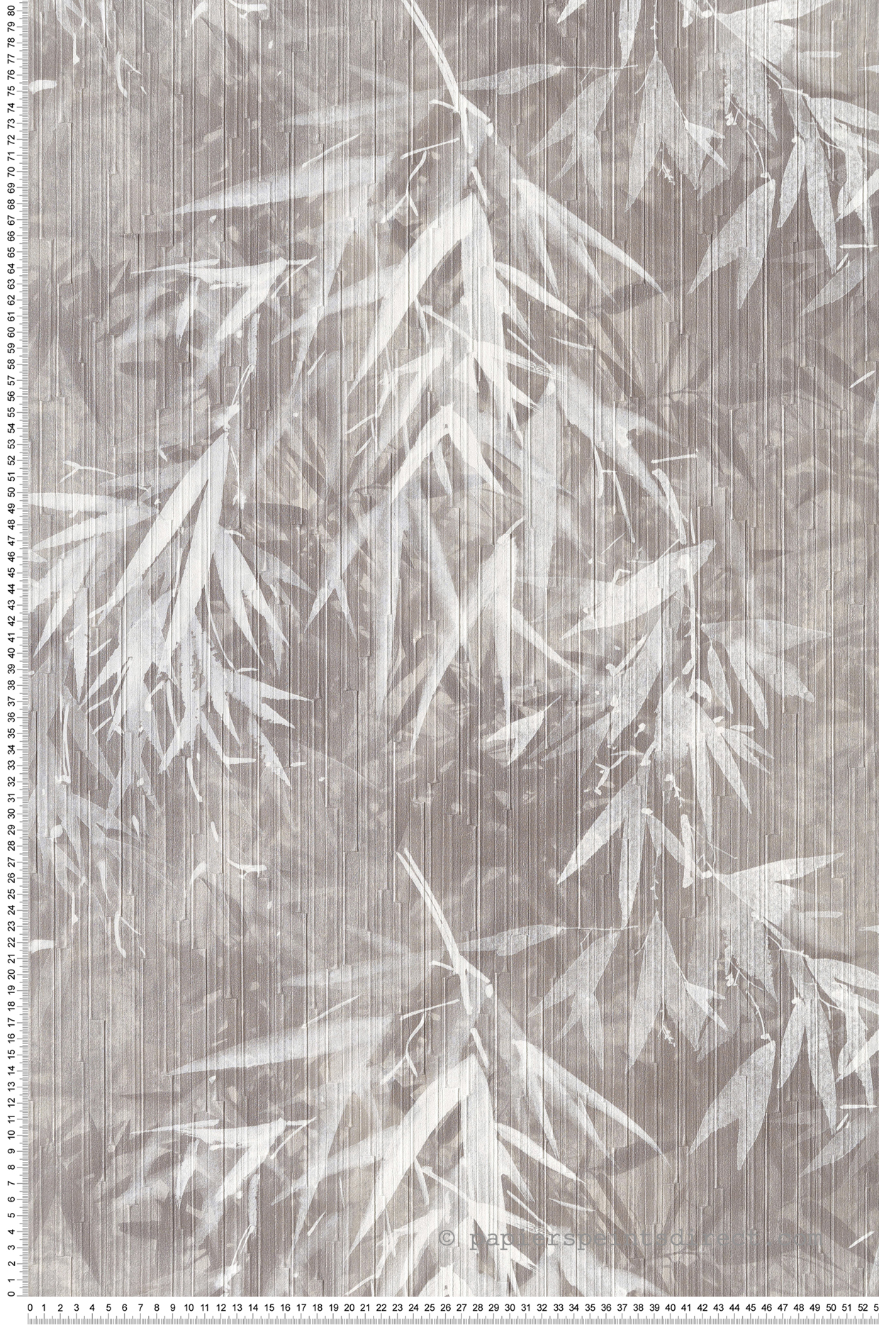 Papier peint Bambou Fargesia gris souris - Folium de Montecolino | Réf. MC-FO18617