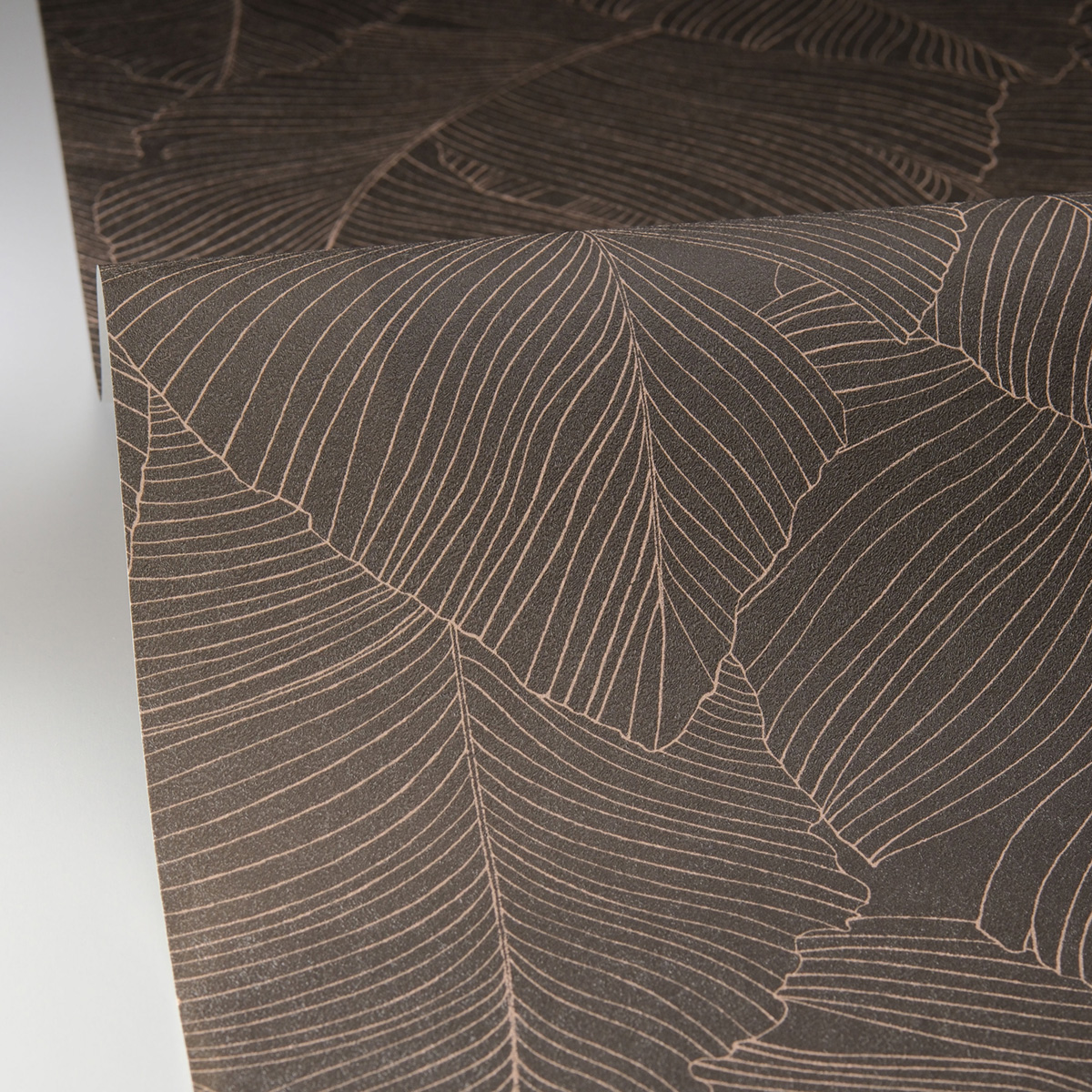 Papier peint Feuillage Vegetalia gris brun - Borneo de Casélio AMBV| Réf. BORN106509027