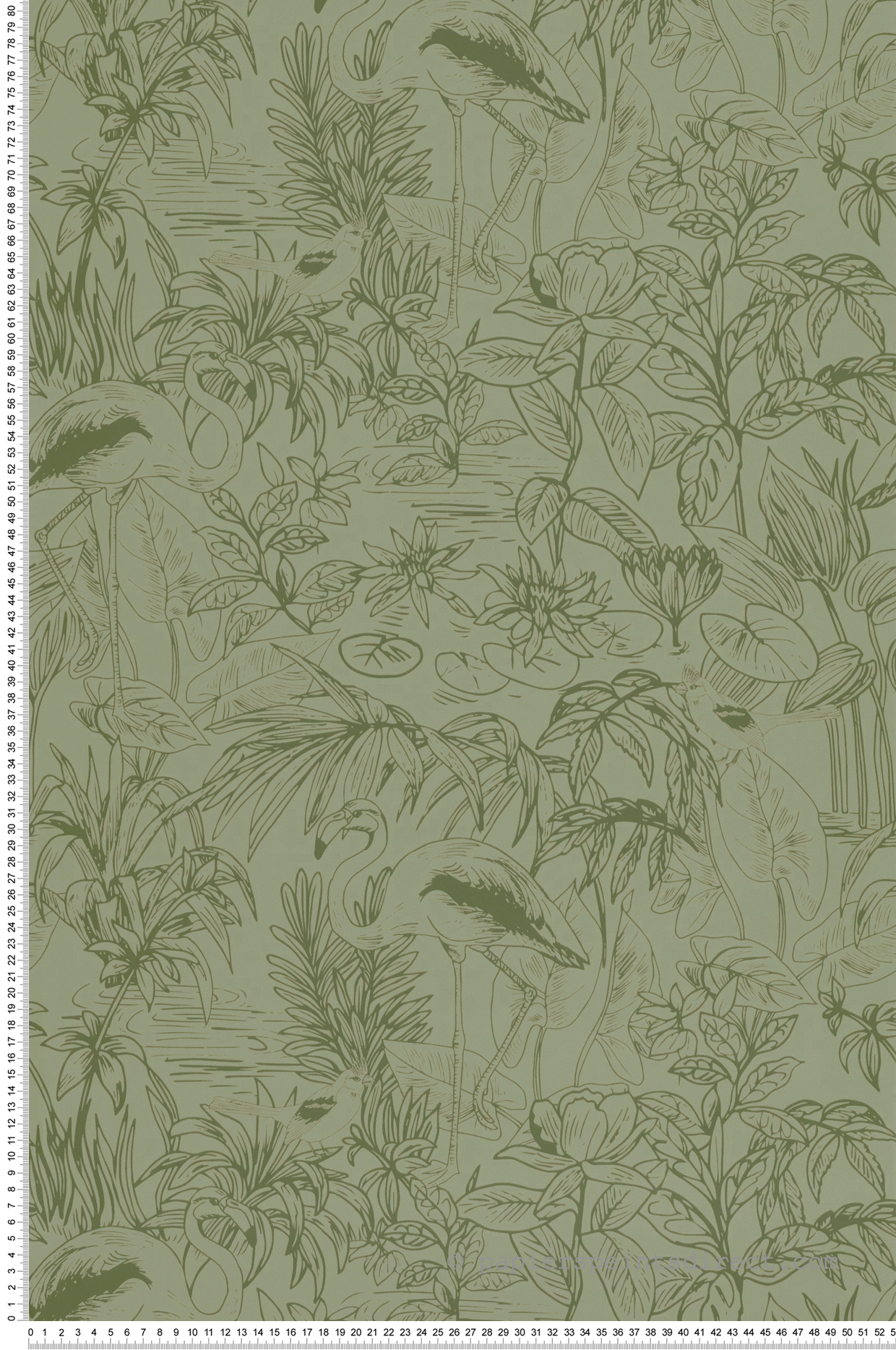 Papier peint Flamant Rose Le Cap vert kaki - Green & Co de Casélio | Réf. GCO103937701