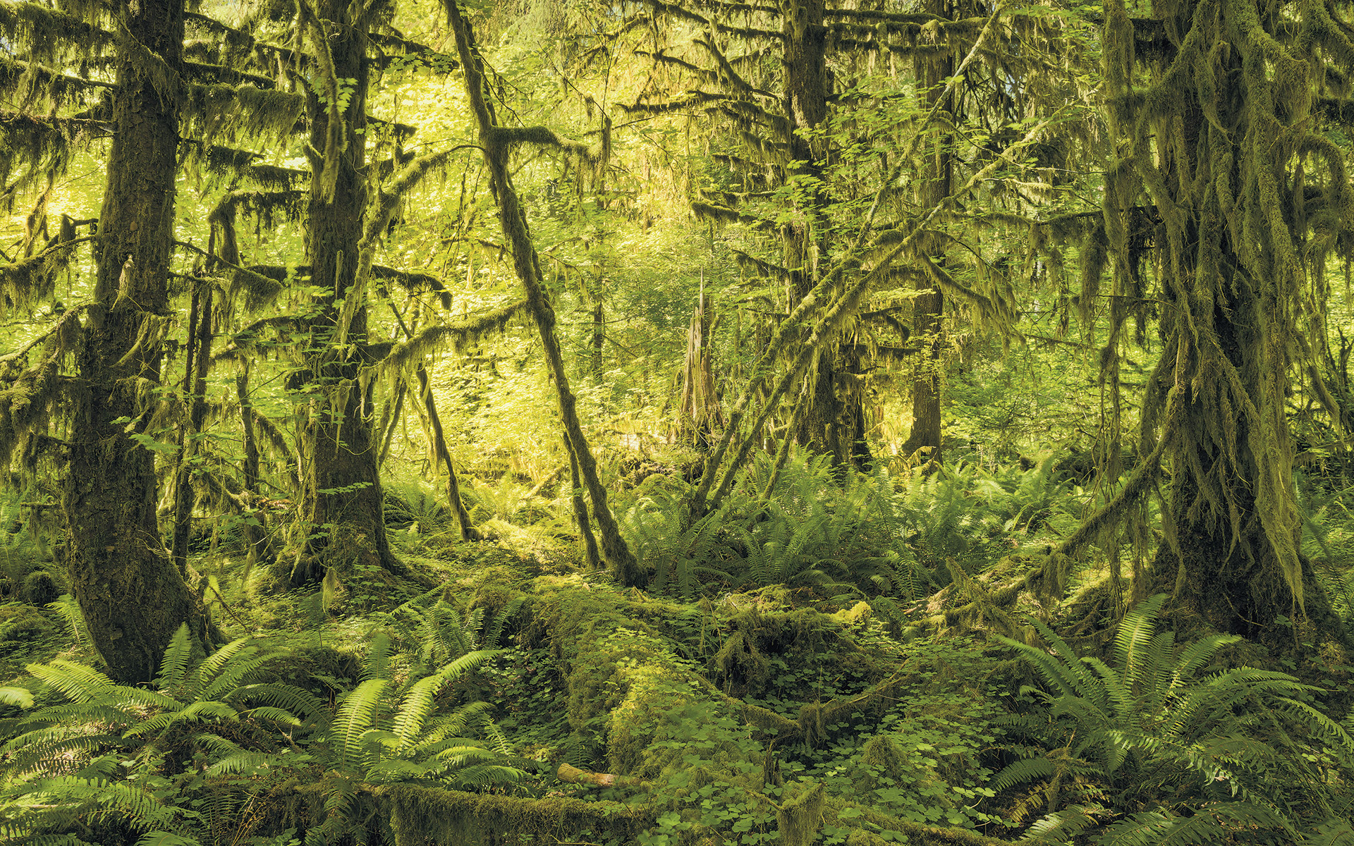 Panoramique Ancient World - Papier peint Komar