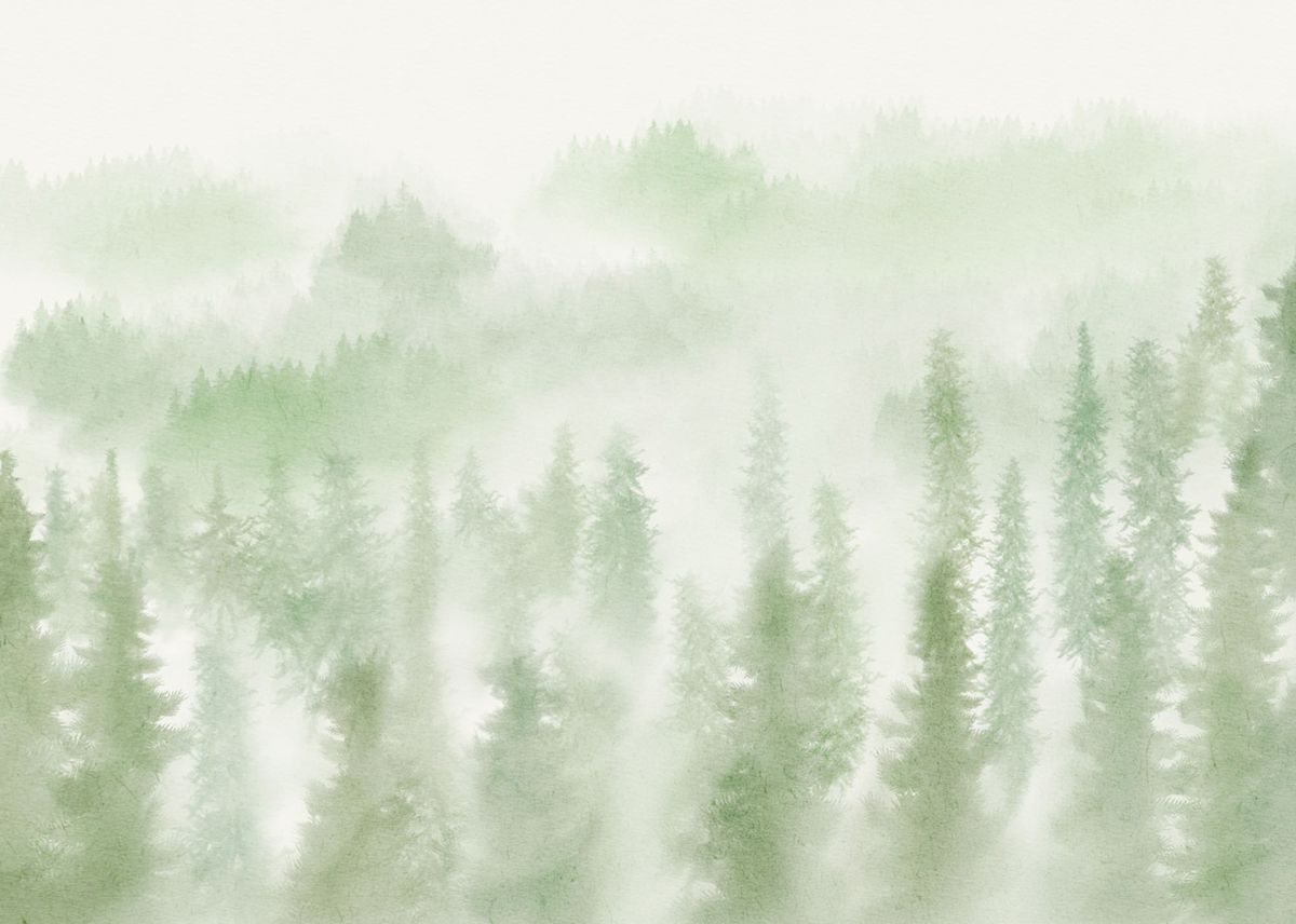 Papier peint panoramique Forêt Sapin Brume vert - Seasons de Komar