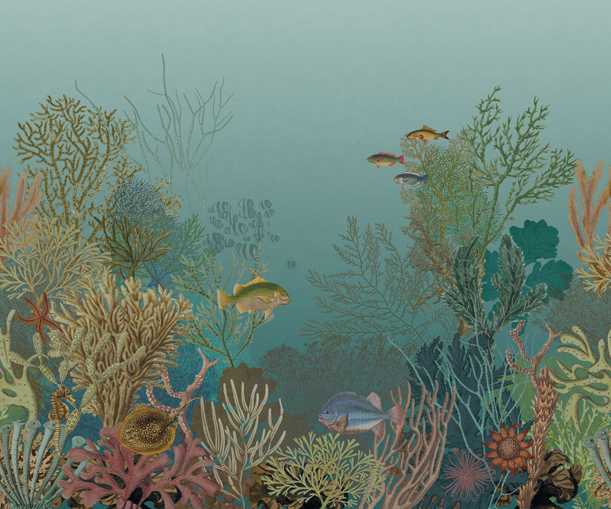 Papier peint panoramique Poisson Marin Aquarium S turquoise 300X250 - Seaside de Casadéco | Réf. SEAS201546307
