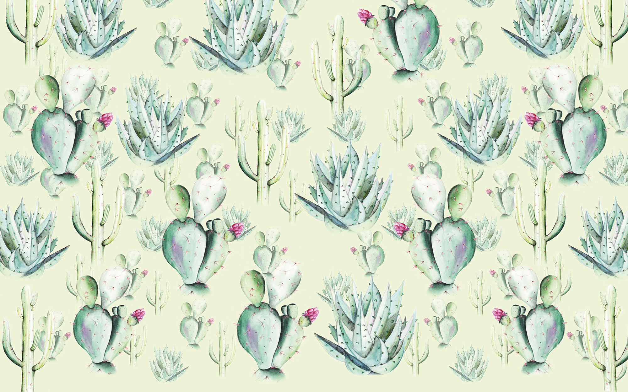 Papier peint panoramique Cactus Green - Papier peint XXL Komar