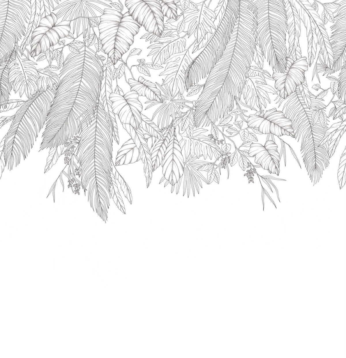 Papier peint Panoramique Jungle Tropicale Descendant noir et blanc 300X310 - Moonlight 3 de Casélio | Réf. MNL3107260909