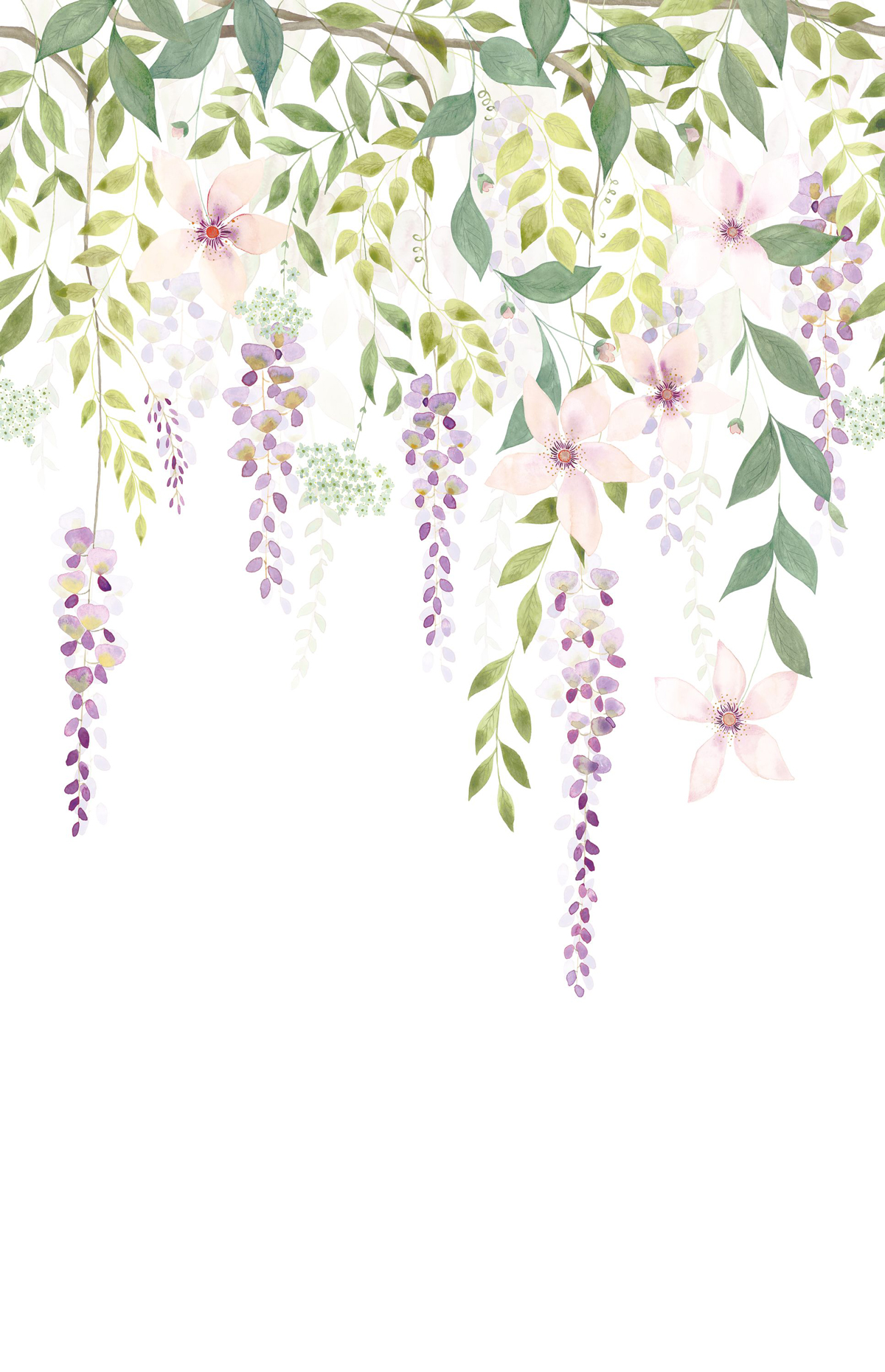 Papier peint panoramique Fleurs Glycines L vert violet 200x310 - Gardens de Casadéco | Réf. GADN87675104