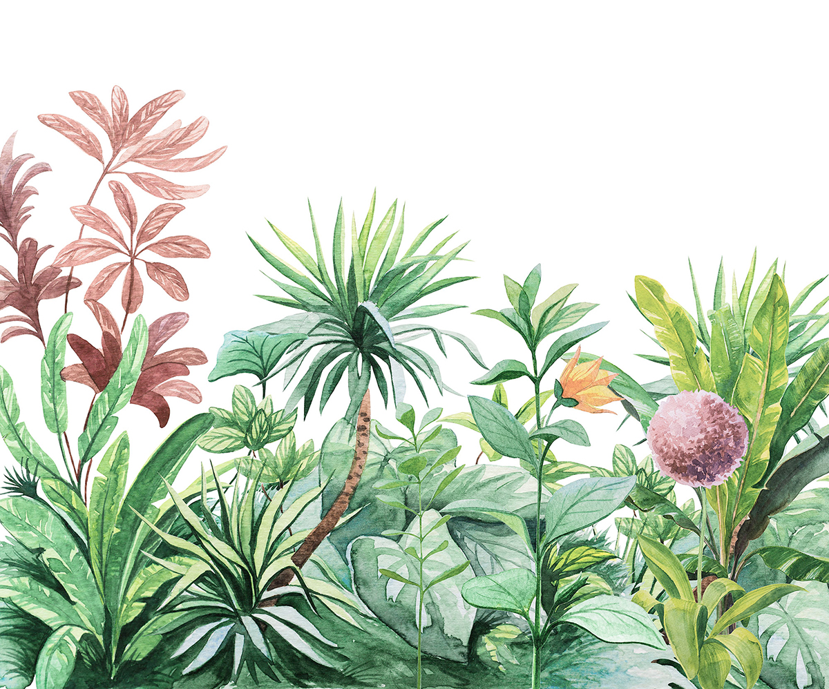 Papier peint panoramique Jungle Tropicale - Papier Peint Komar Into Adventure