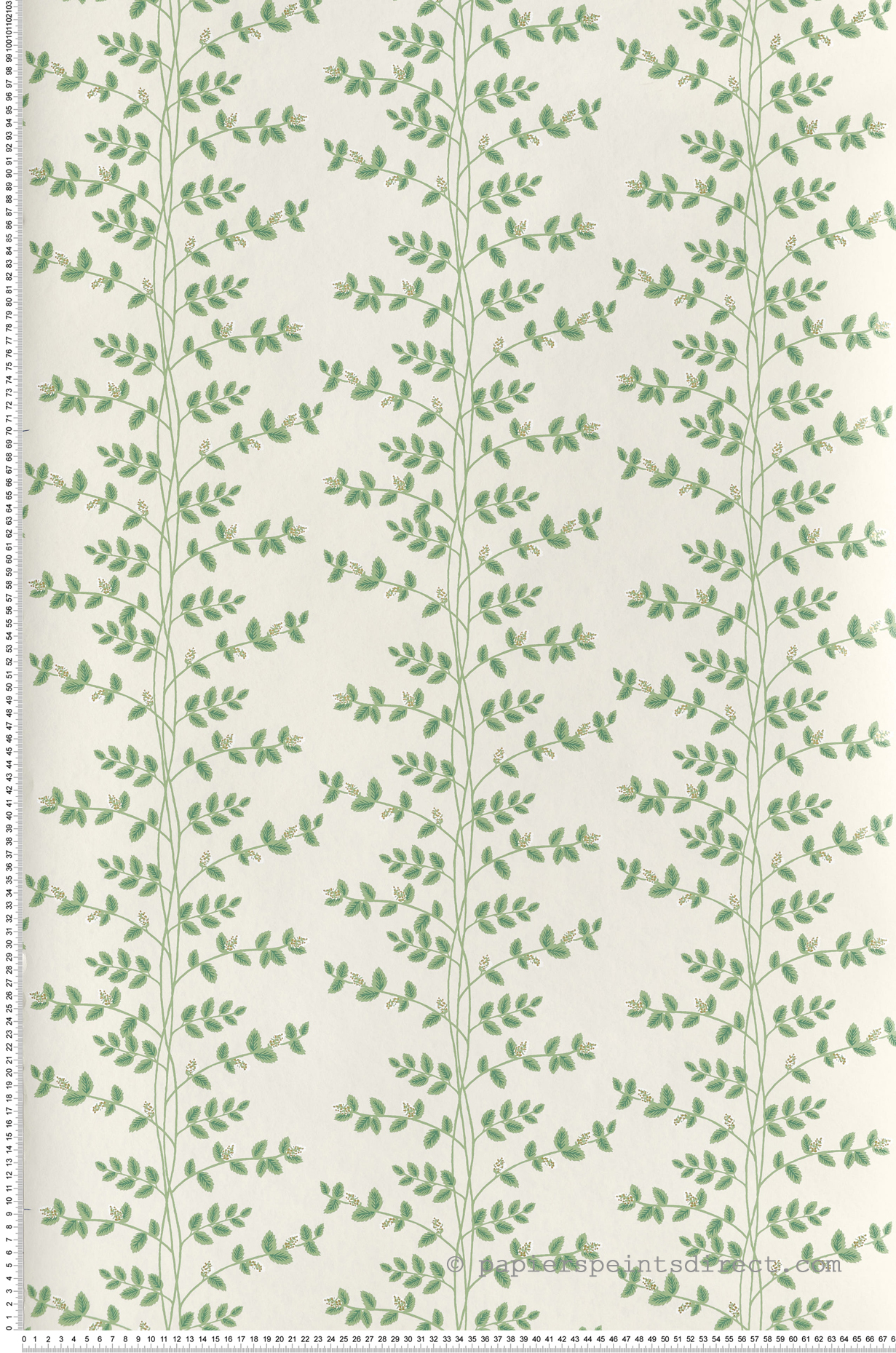 Papier peint Feuillage Climbing Vine beige doré - Rifle Paper Co. 3 de York (Initiales) | Réf. INI-RF7423
