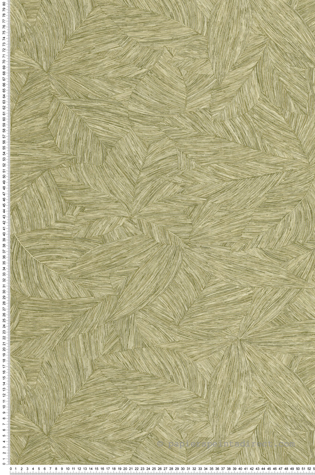 Papier peint Feuille Liège Archipel vert - Borneo de Casélio | Réf. BORN106517187