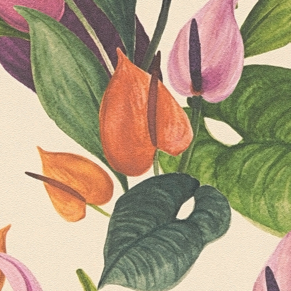 Papier peint Fleurs Anthurium multicouleurs - Anna D'Andrea d'A.S. Création AMB3| Réf. AS-782101