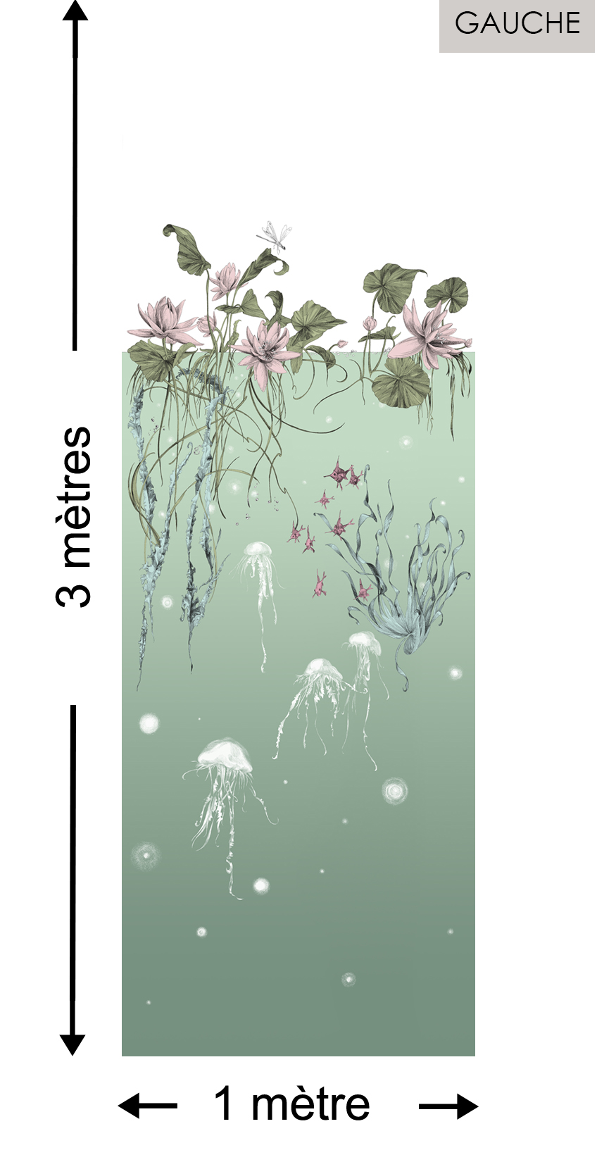 Méduses DROIT Aqua - Collection Catherine Gran de Edmond Petit
