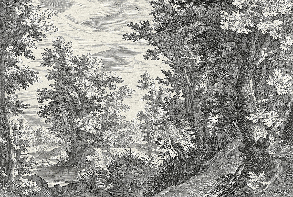 Papier peint panoramique Walls by Patel 3 - Référence DD121884 - Intissé 200g/m2 - 400 x 270 cm