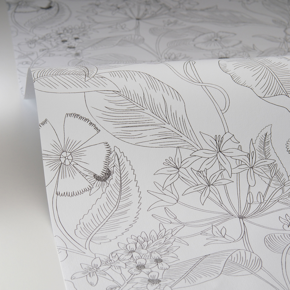 Papier peint Floral Lightness noir et blanc - Light de Casélio AMB4| Réf. LIG106609090