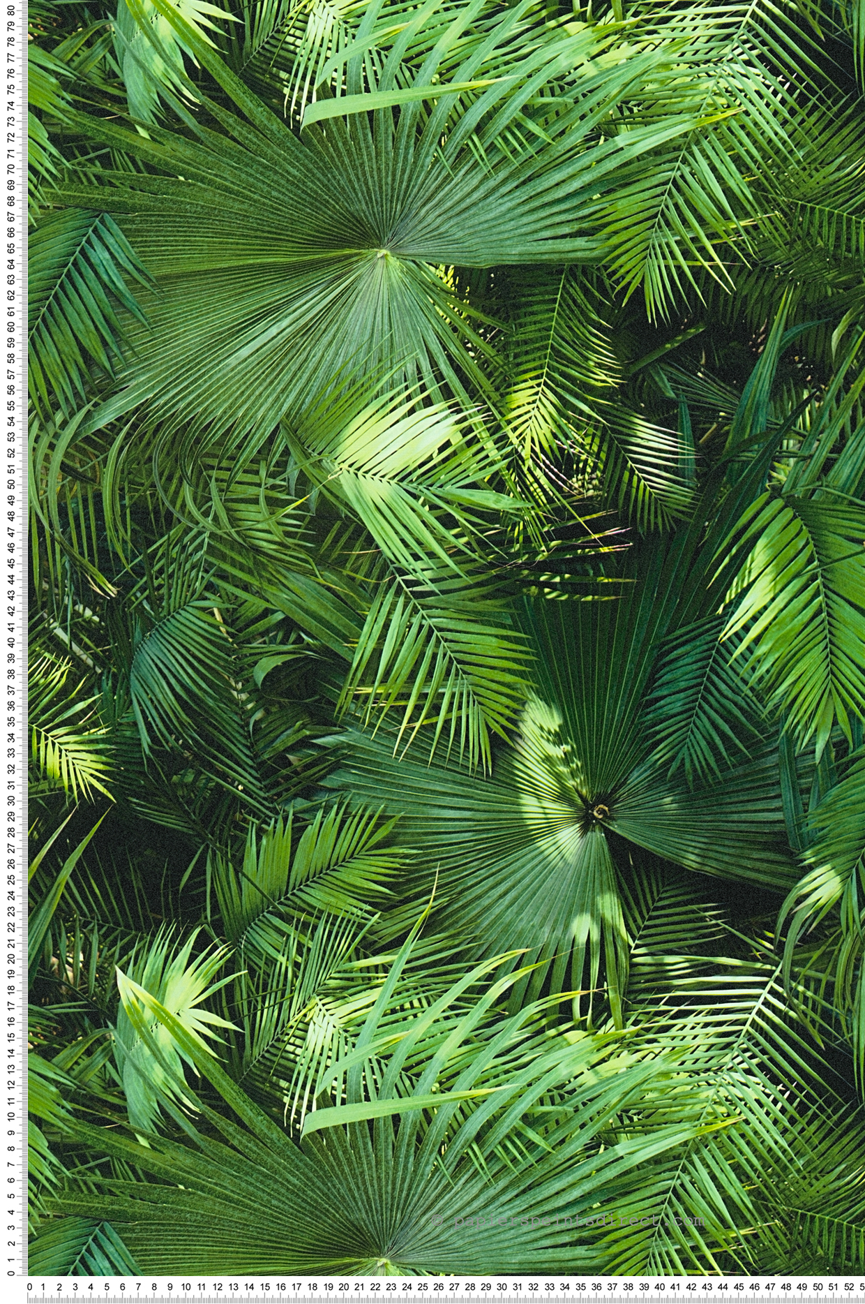 Papier peint Jungle Palme vert - New Studio 2.0 d'AS Création | Réf. SP14759