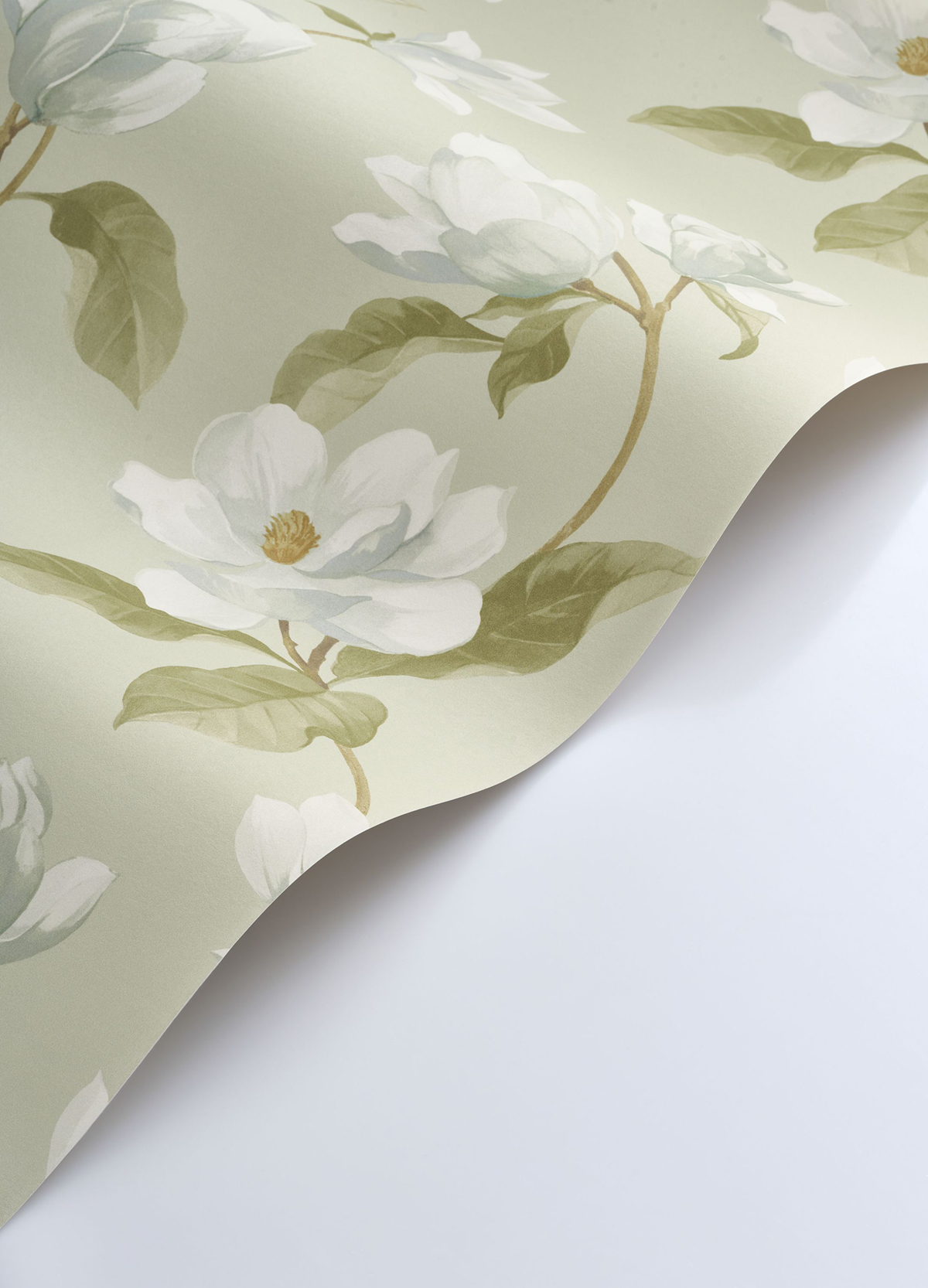 Papier peint Brume de Magnolia vert amande - Le Beau Jardin de Casadéco VAGUE | Réf. BJAR202547202