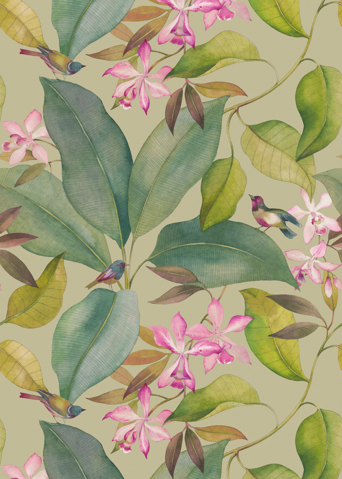 Papier peint panoramique Exotique oiseaux - Encyclopedia de Casadéco | Réf. ENCY83351467
