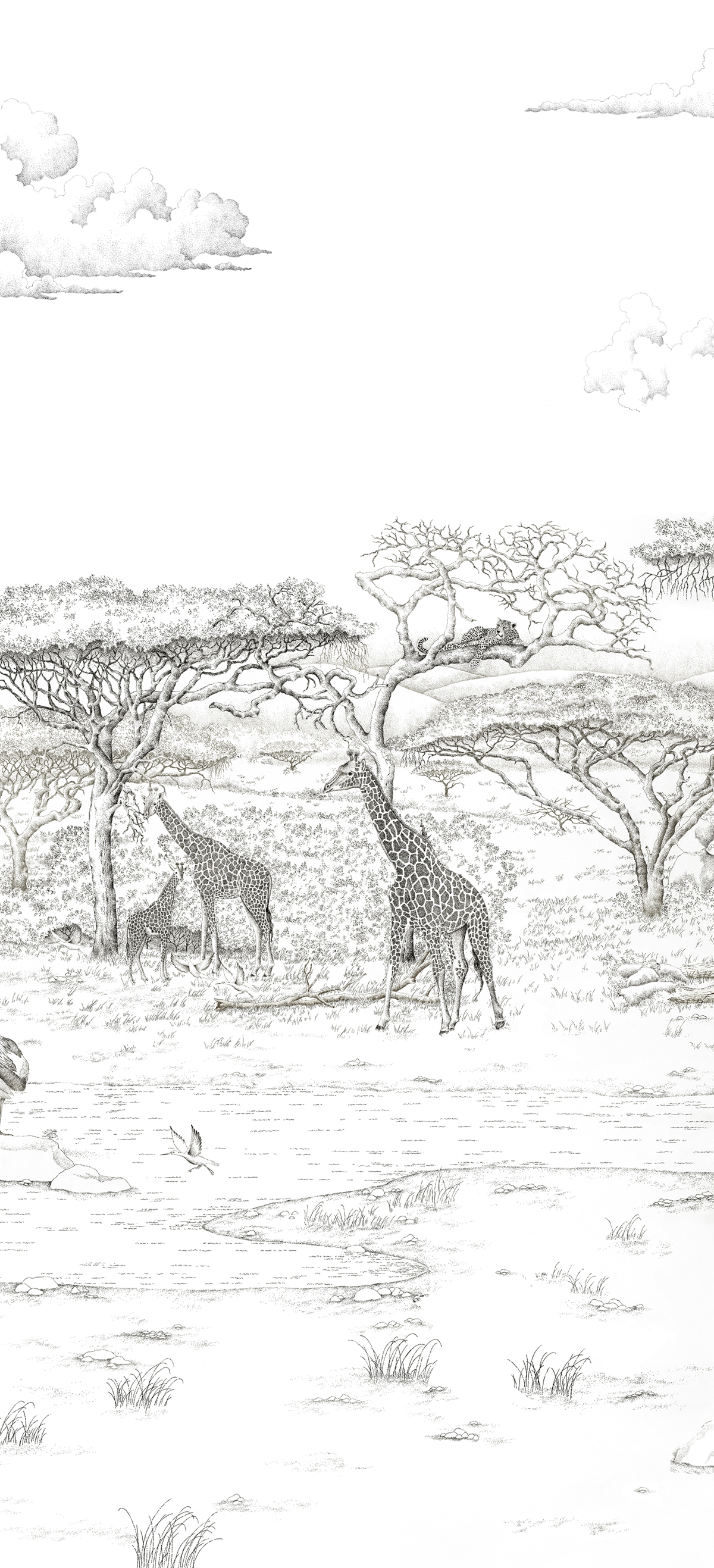 Papier peint panoramique Animaux Vallée du Rift Gris B - 4/5/6 - Isidore Leroy