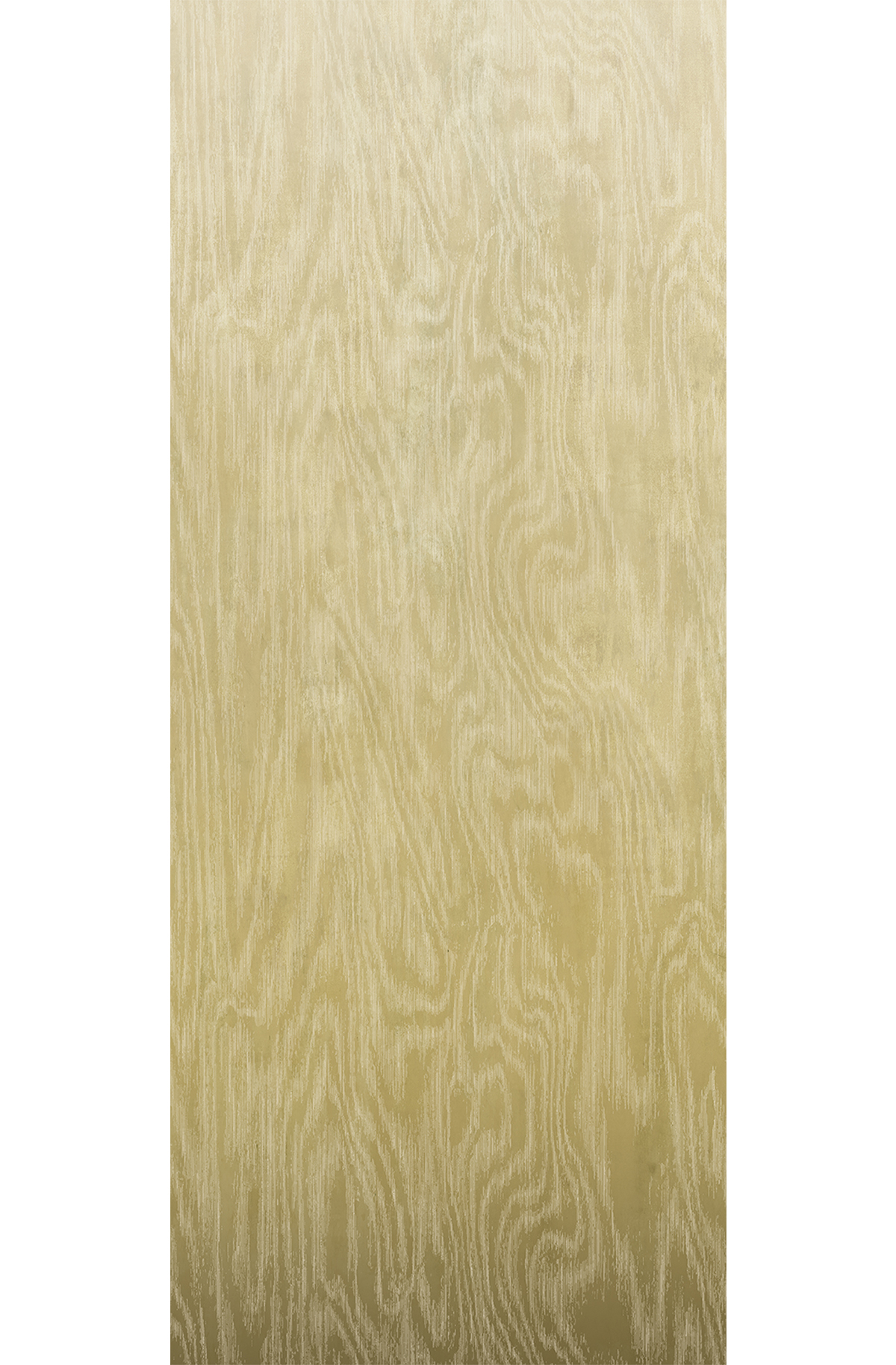 Papier peint panoramique Dégradé Moiré Bois jaune - C H260 - Wall Designs IV de Masureel | Réf. MAS-DG4MOI1013-260