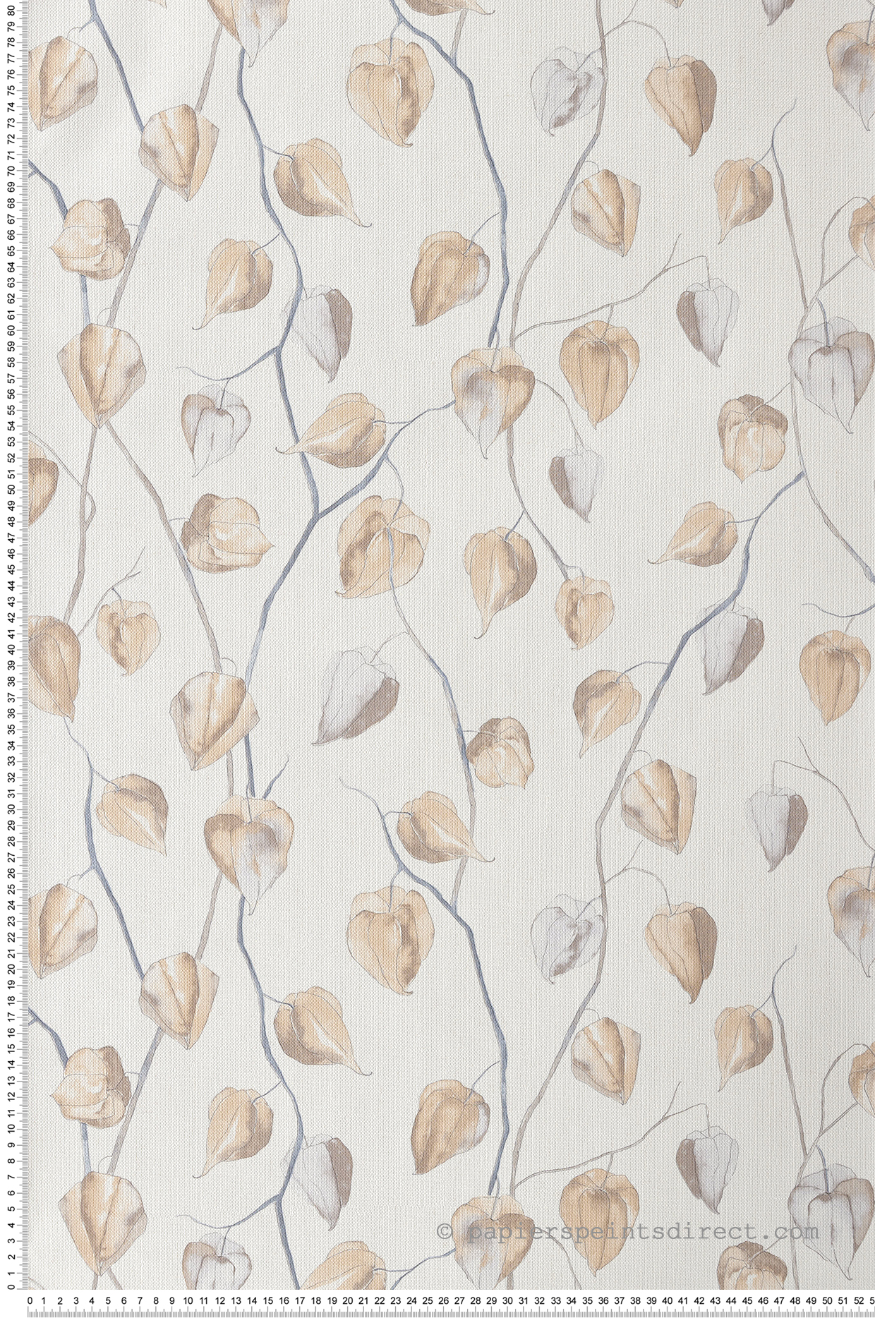 Papier peint Fleur Physilis beige - Gingko de Casadéco | Réf. GINK86211202