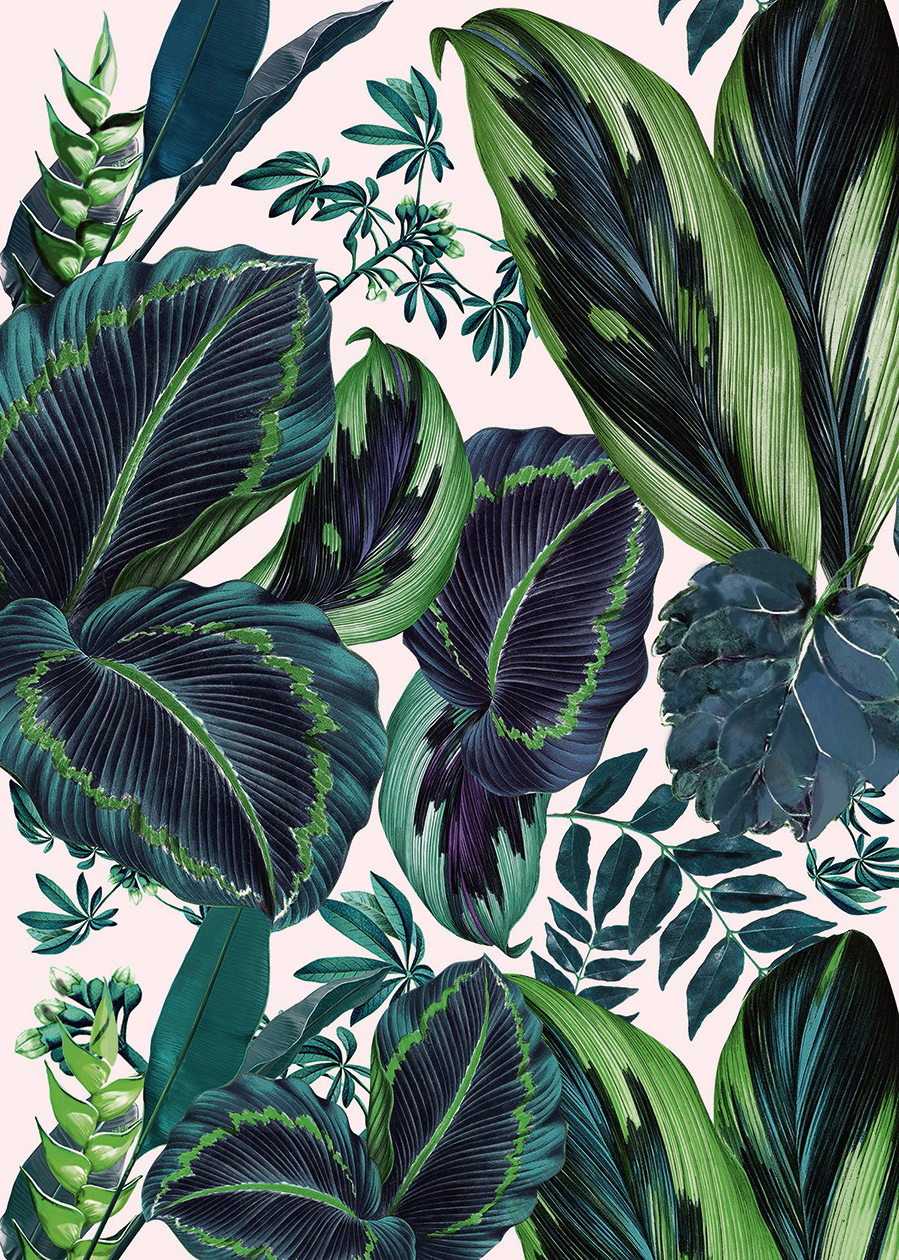 Panoramique pink jungle - Jungle de Caselio