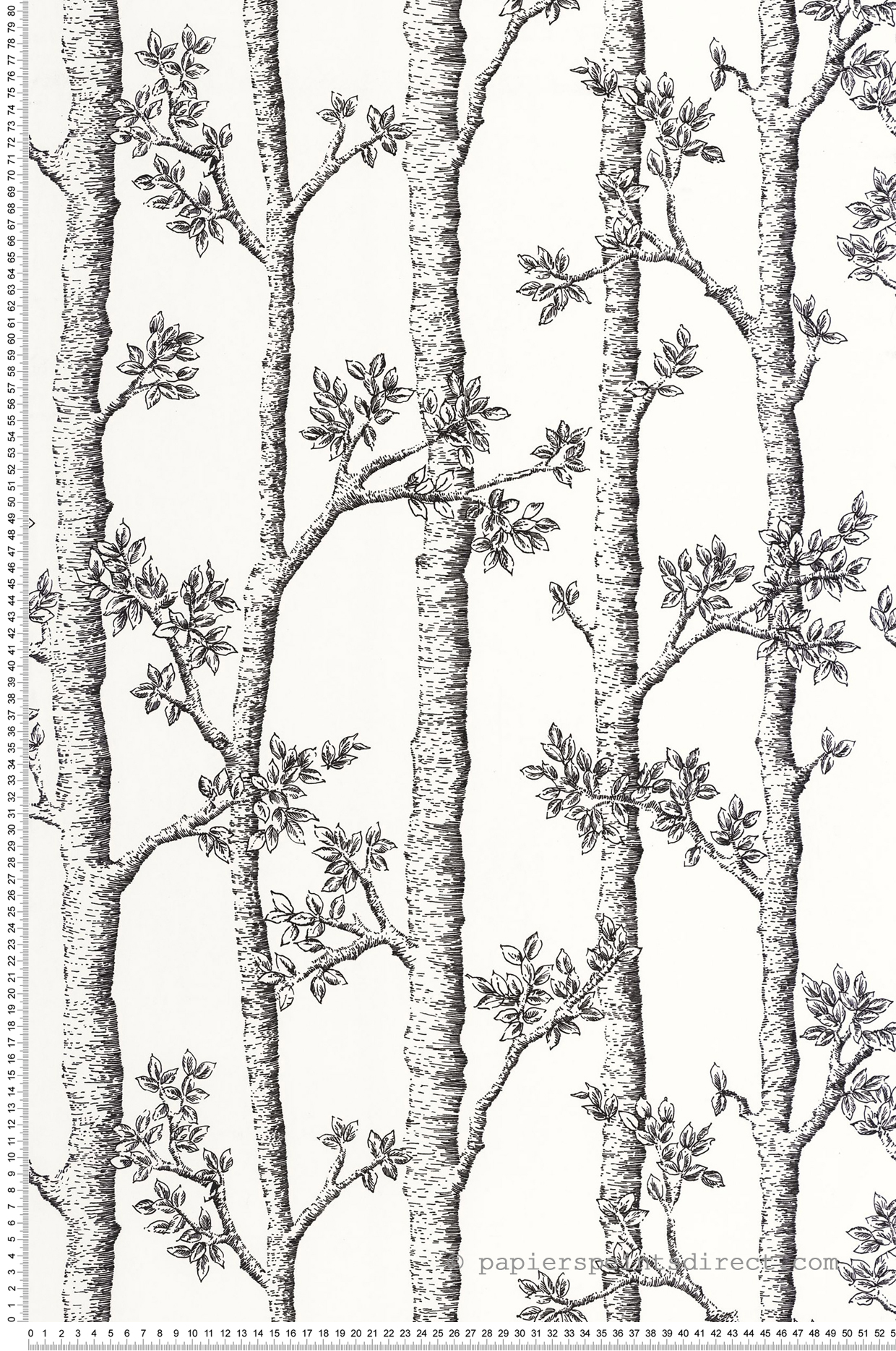 Papier peint Arbre Tronc Automne noir et blanc - Balade de Casélio | Réf. BLD106120000