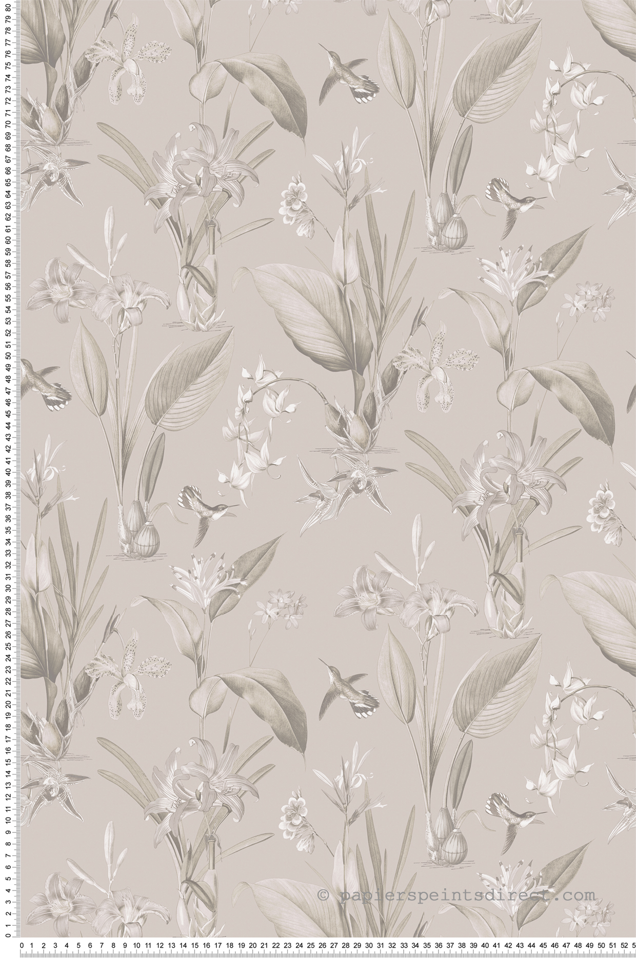 Papier peint Plante Botanique Oiseau gris beige - Jardin Secret de Lutèce | Réf. LTC-G78503