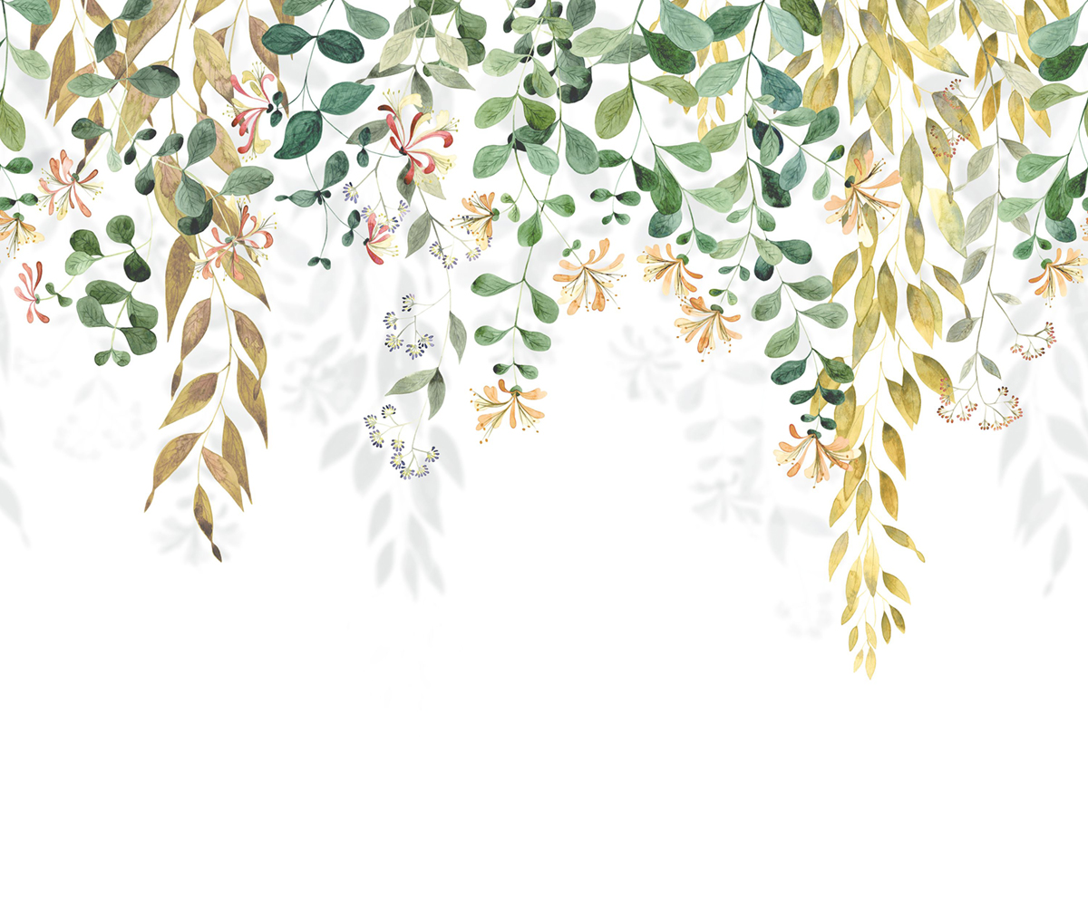 Papier peint panoramique Feuille Tombante Honeysuckle S vert 300X250 - Soliflore de Casadéco | Réf. SOLI200347807