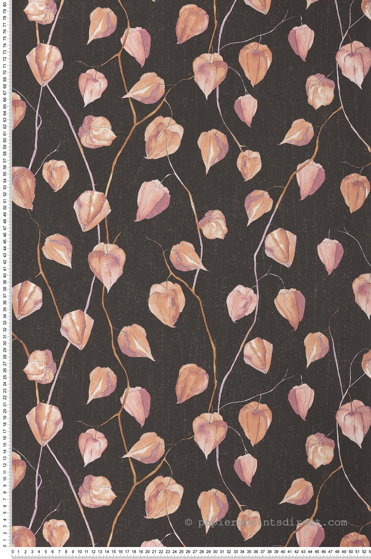 Papier peint Fleur Physalis rose et noir - Gingko de Casadéco | Réf. GINK86213428
