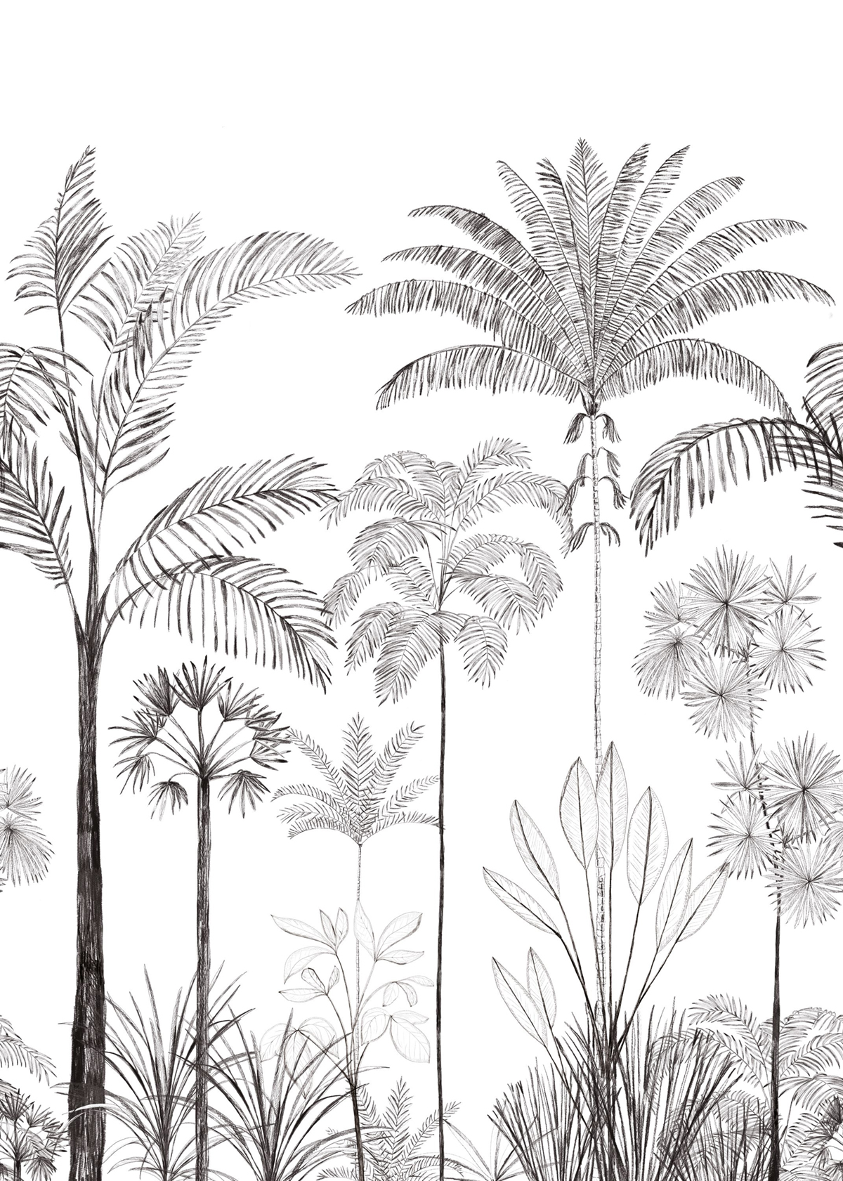 Papier peint panoramique Jungle Sao Paulo noir blanc 200X280 - Color Box 3 de Casélio | Réf. CB3105919103