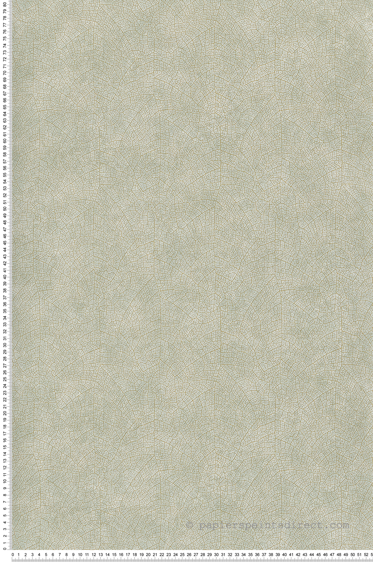 Papier peint Nature Nervure sauge - Woods de Casadéco | Réf. WOOD26217010