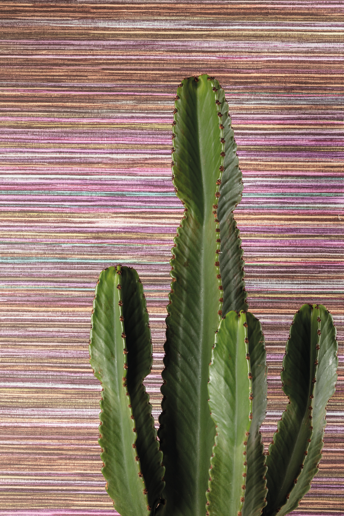 Papier peint panoramique Sisal Pai-Pai violet - A H260 - Amani de Masureel AMB3| Réf. MAS-DGAMA1041-260