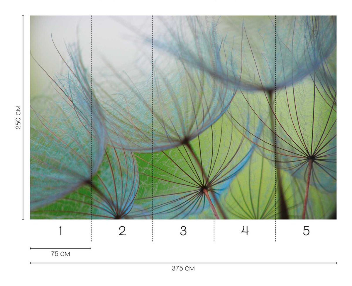 Papier peint panoramique Nature Pissenlit - Wall Love d'A.S. Création REGLE | Réf. DD129569