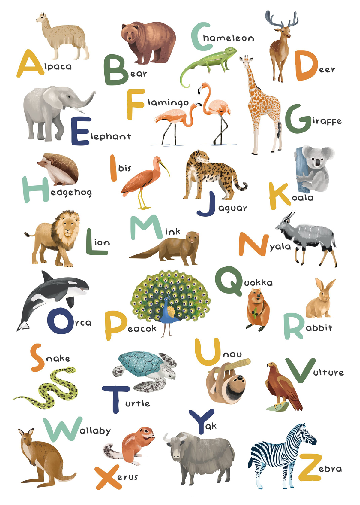 Papier peint panoramique Abécédaire Anglais Let's Learn Alphabet multicouleurs M 200X280 - Les Minis Mondes de Casélio | Réf. MNM105857003