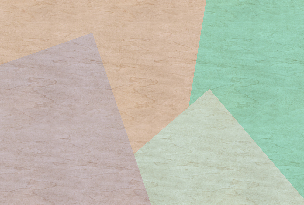 Papier peint panoramique Bois Scandinave Inlay 1 - Référence DD114602 - Intissé 200g/m2 - Standard 400 x 270