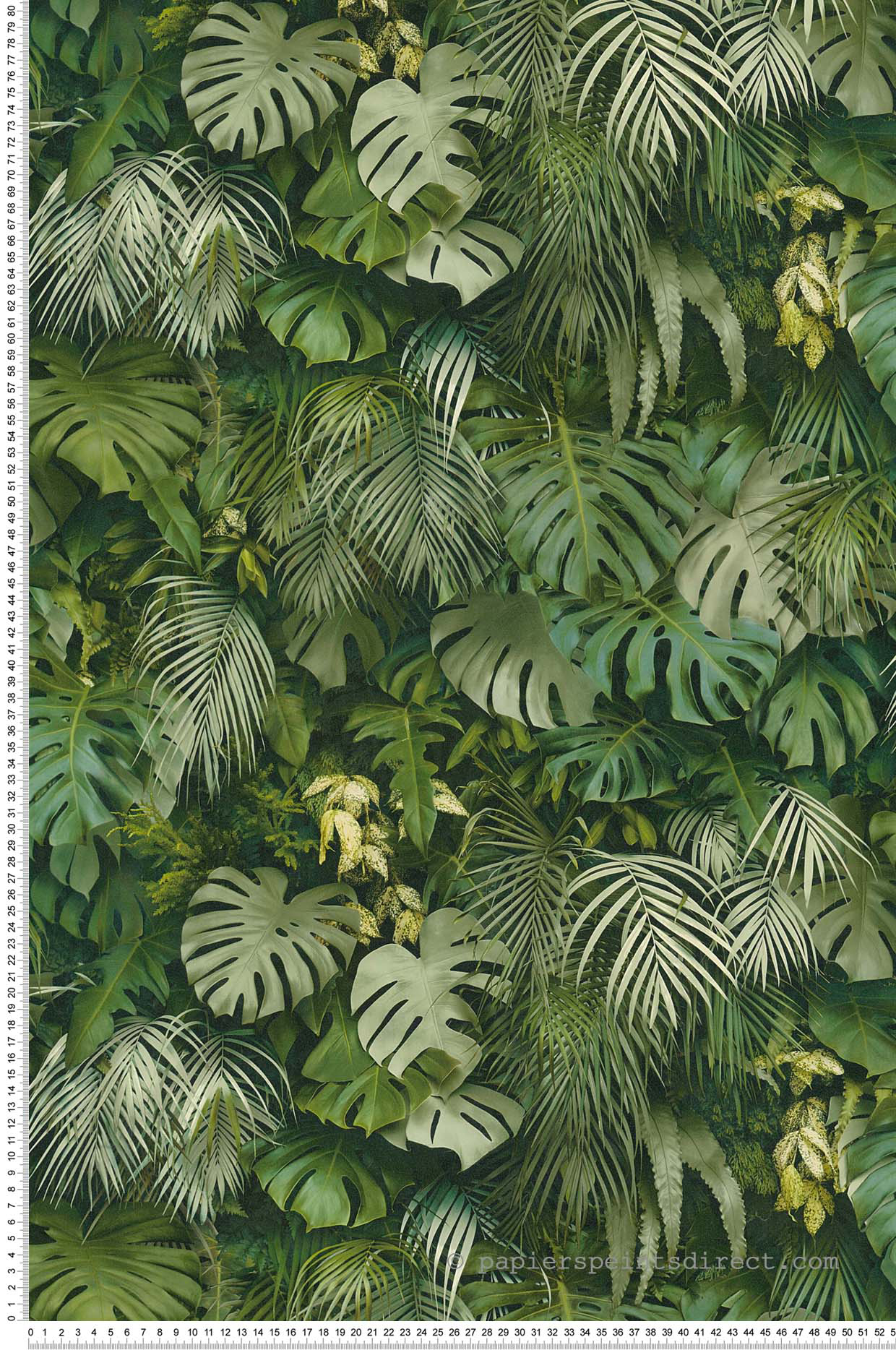 Papier peint jungle Feuilles Amazonia vert - Greenery d'AS Création | Réf. SP15041