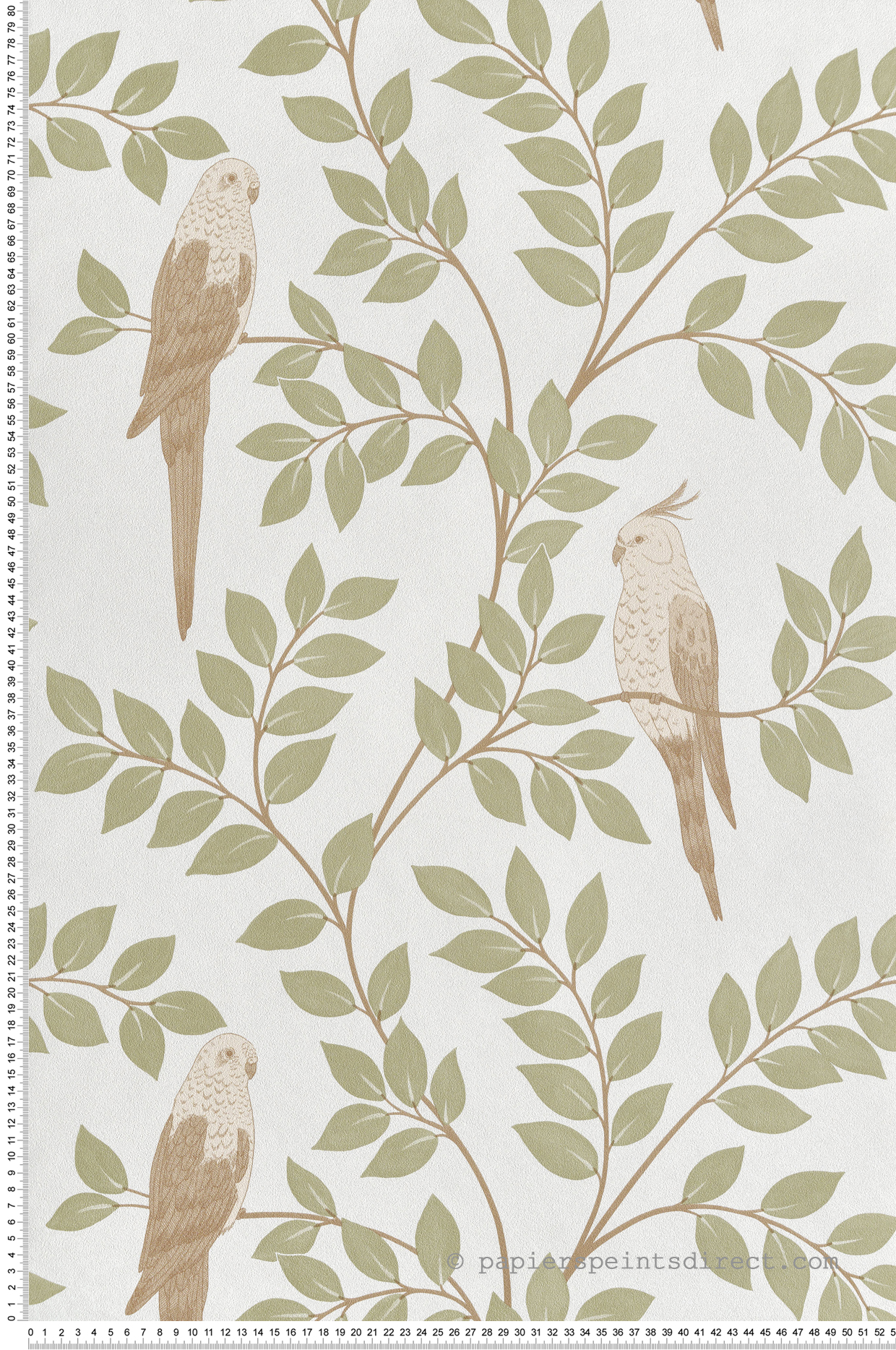 Papier peint Oiseau Jungle Equateur amande brun - Borneo de Casélio | Réf. BORN106527070