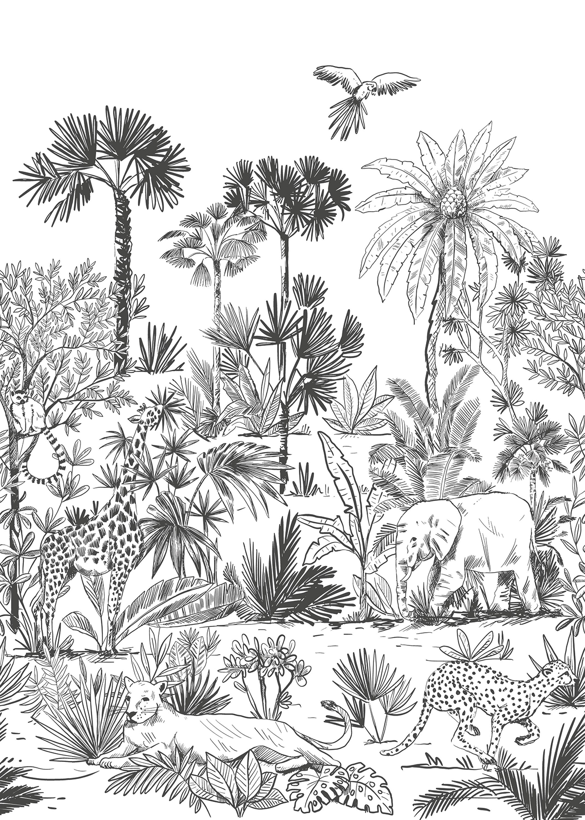 Papier peint panoramique Fresque Jungle Decouvrir noir et blanc Taille M - Autour du Monde de Casélio | Réf. ADM103599003