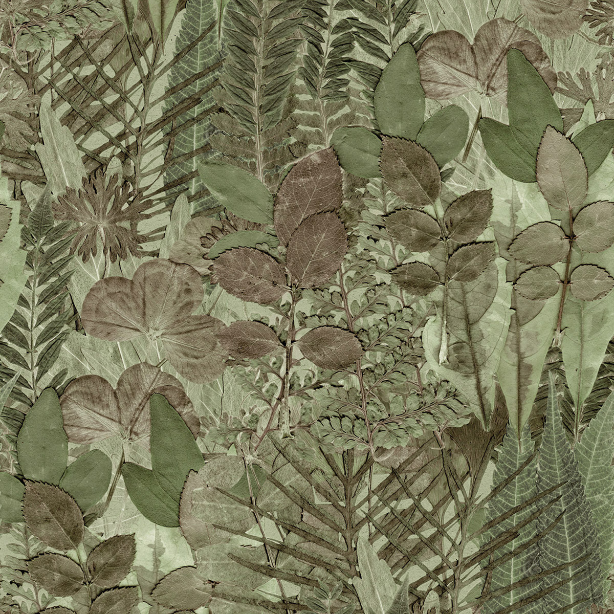 Papier peint panoramique Feuillage Harmonieux vert - Herbier de Montecolino | Réf. MC-HED27295