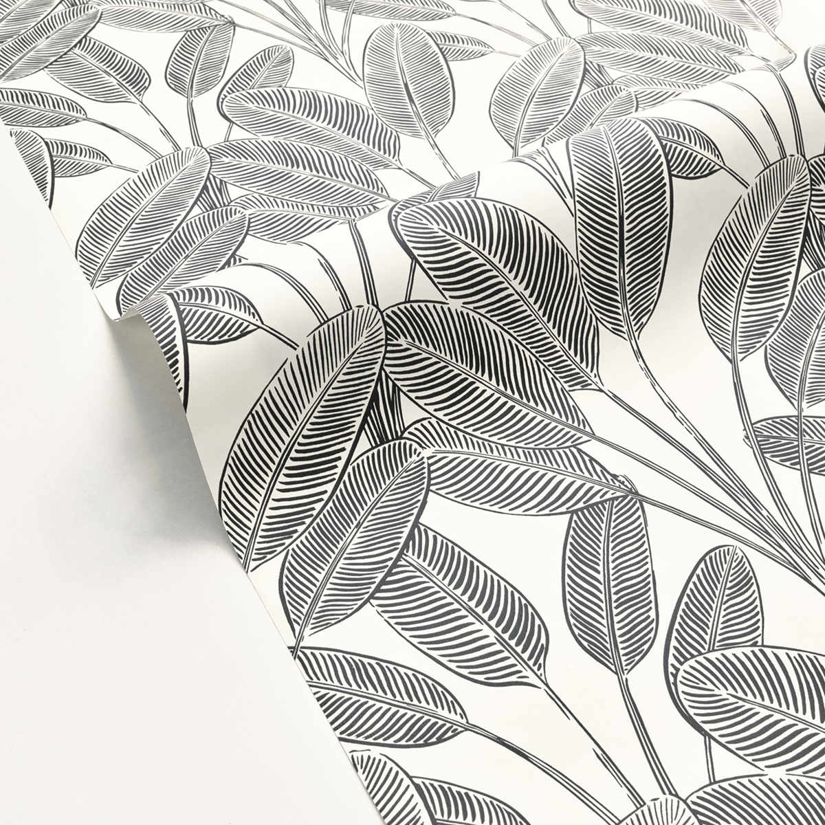 Papier peint Feuille Little Banana noir et blanc - Moonlight 2 de Casélio AMB | Réf. MLGT104320931