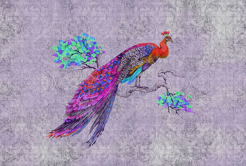 Papier peint panoramique Paon Baroque Peacock 3 - Référence DD114317 - Intissé 200g/m2 - Standard 400 x 270