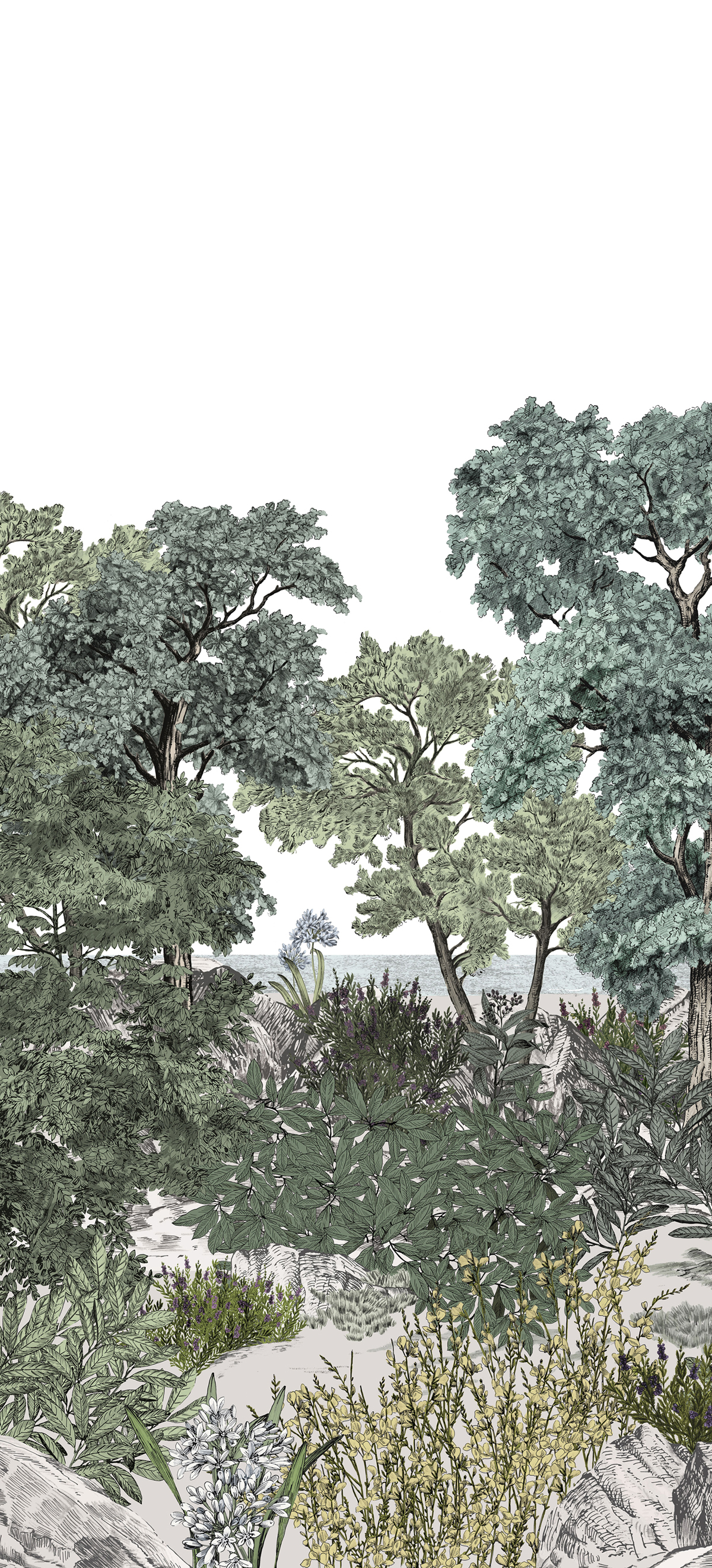 Papier peint panoramique Forêt de Bretagne Naturel A - 1/2/3 - Isidore Leroy