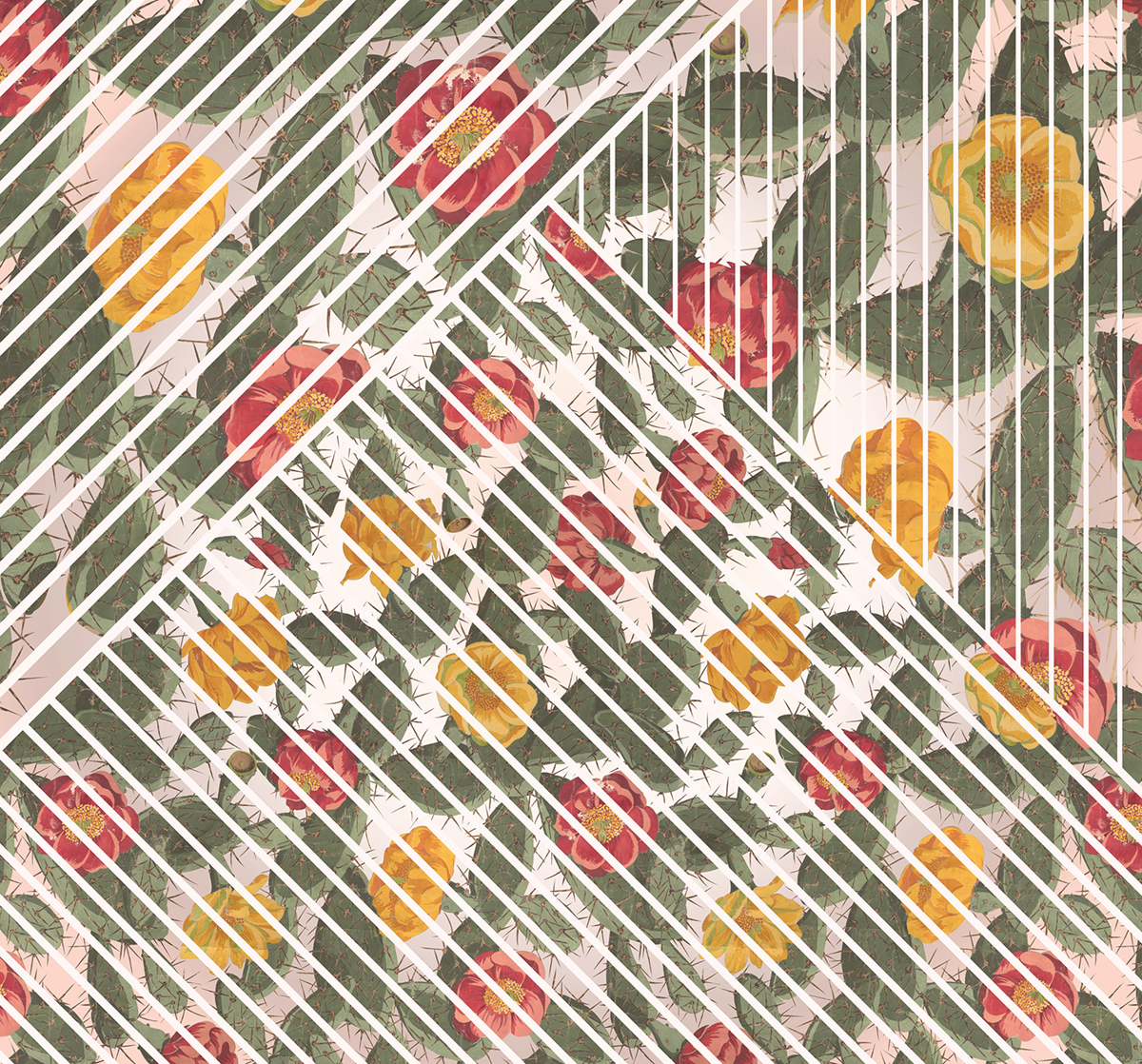 Papier peint panoramique Cactus en fleurs - Papier peint Komar Heritage